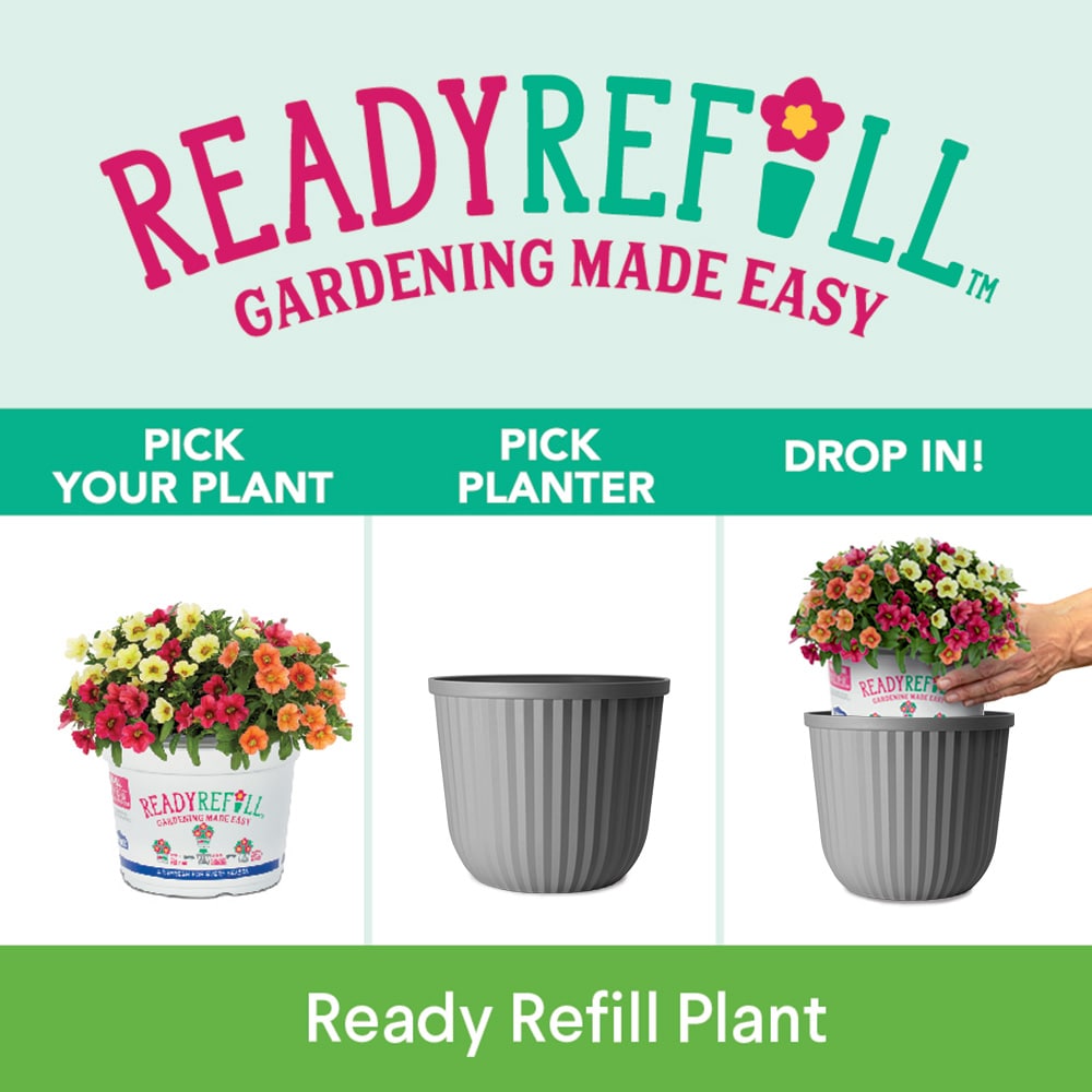 Style Selections RT1875M Planter-Window-Box - View #9