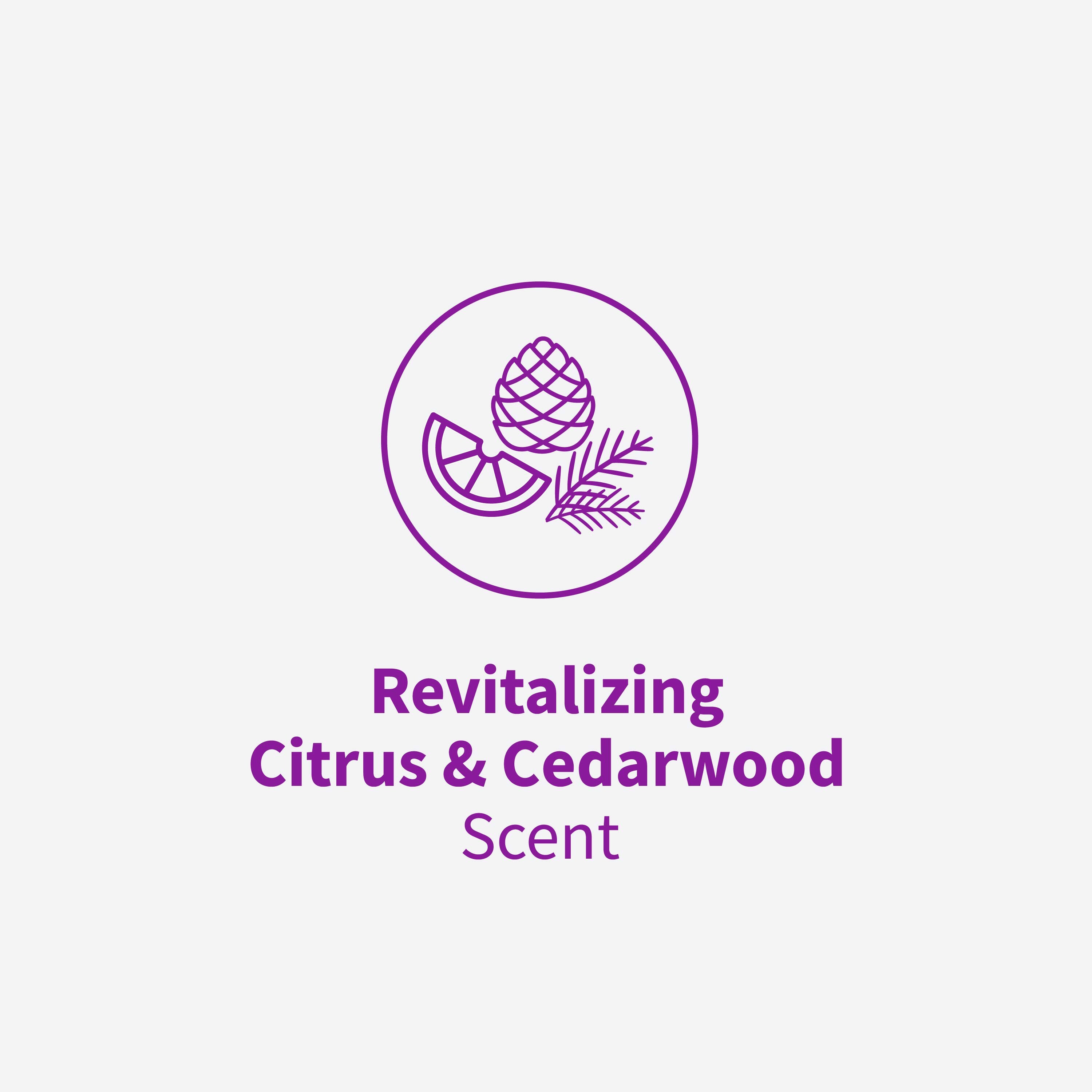 Rejuvenate HG-R00398 Floor-Cleaners - View #5
