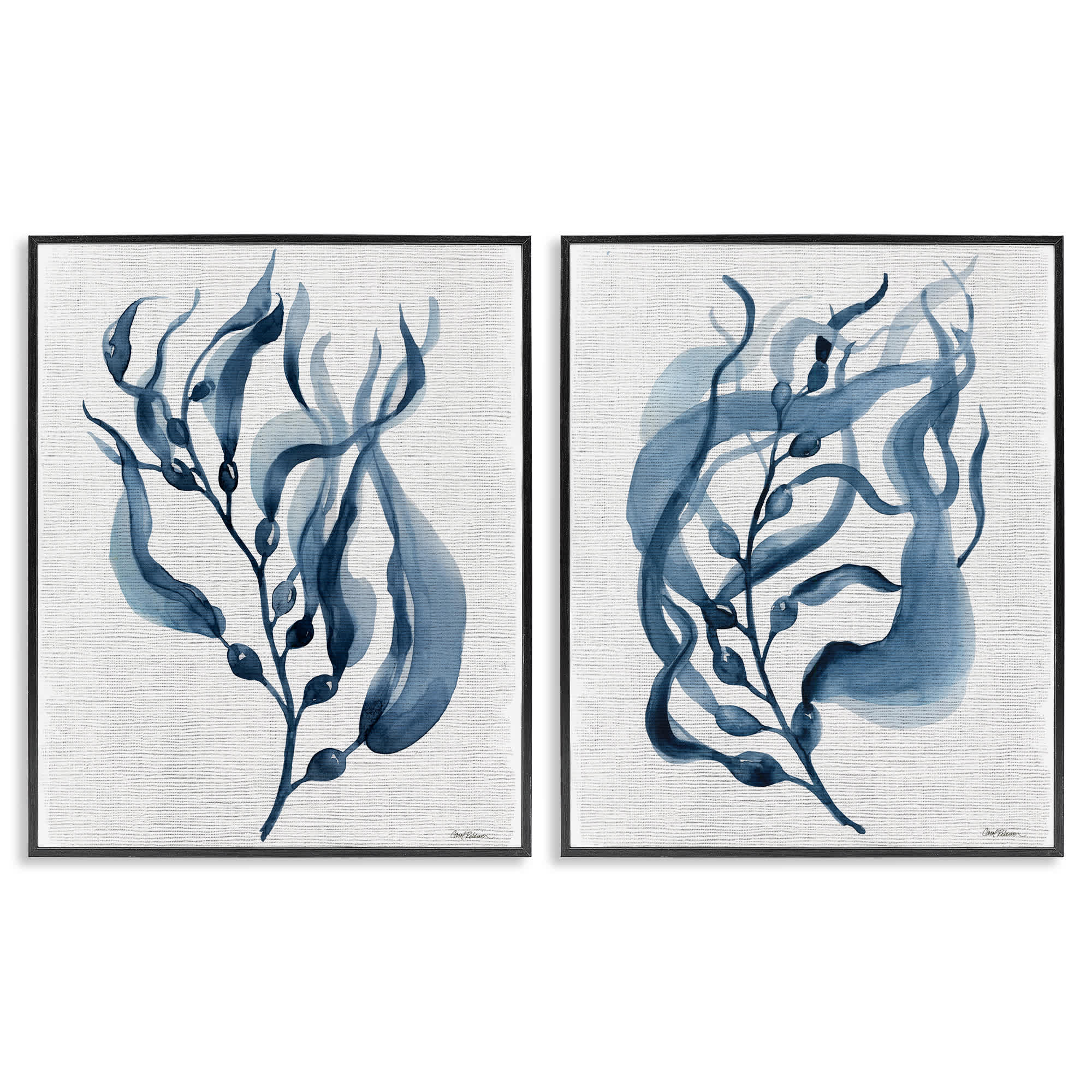 Stupell Industries B2-731-FR-2PC-11X14 Fluid Blue Herbs 2 Piece Black Framed Giclee Art Set By Carol Robinson 11 x 14