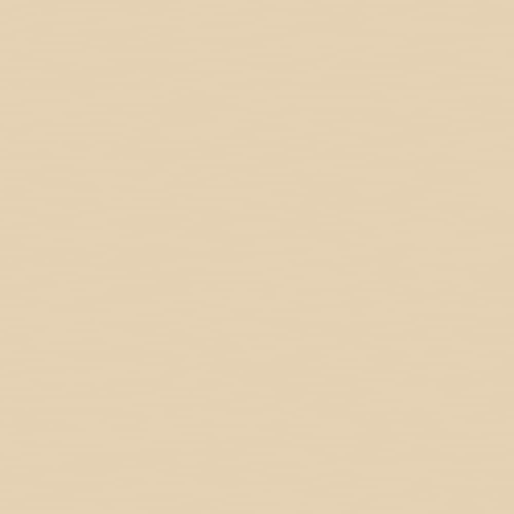 HGTV HOME by Sherwin-Williams HGSW3166 Diamond Weave Paint sample ( Quart size container )