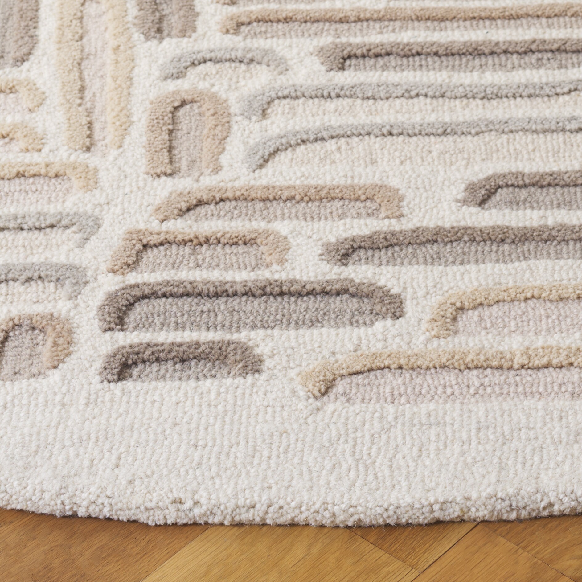 Safavieh EBN850B-6R rugs - View #3