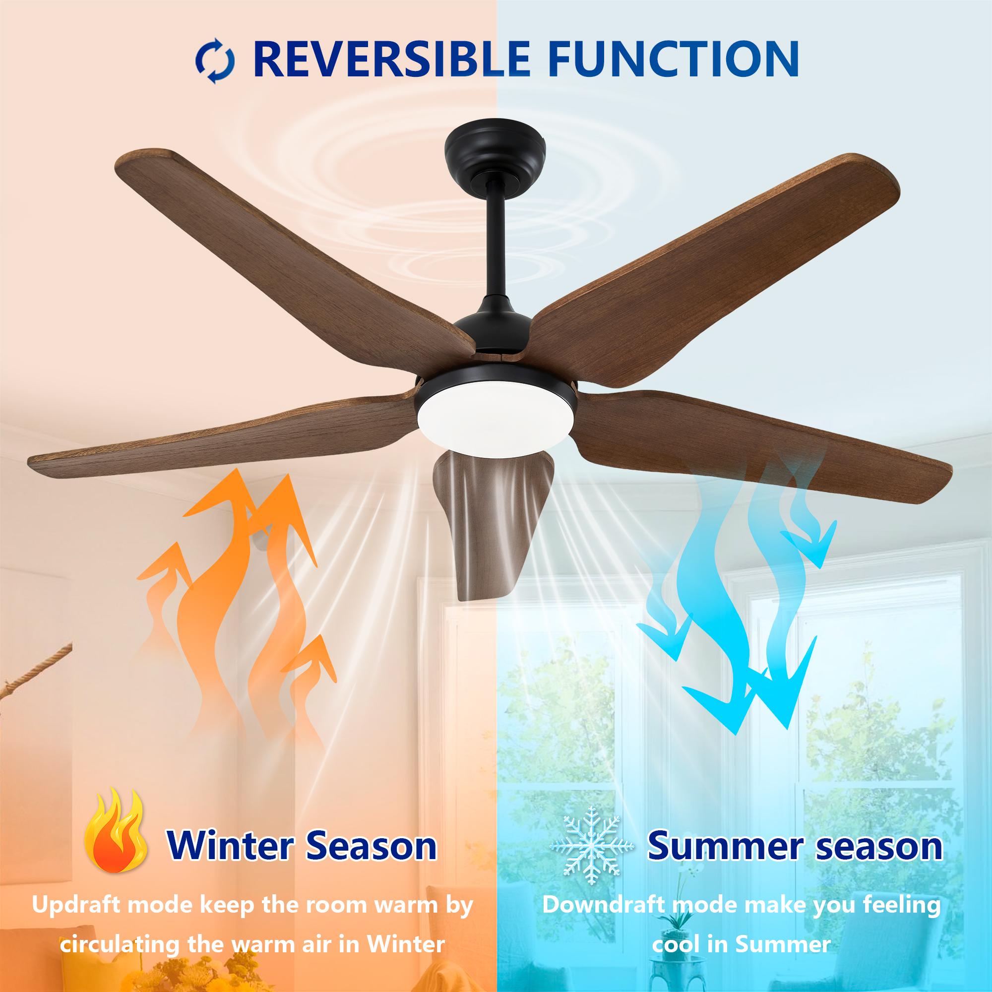 Bayfeve BF-443066-MP Ceiling-Fans - View #7