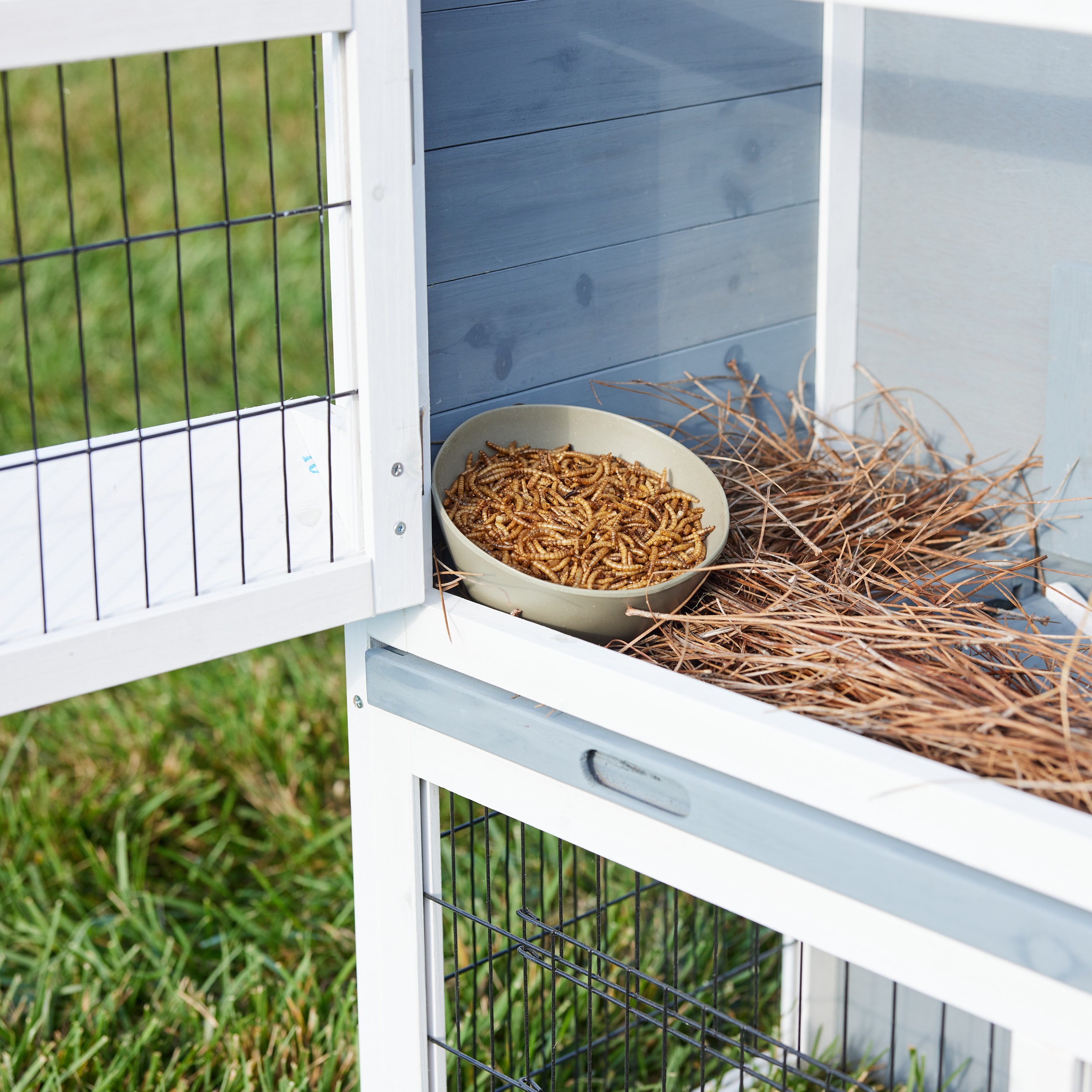 Pecking Order 009351 Poultry-Feed - View #5