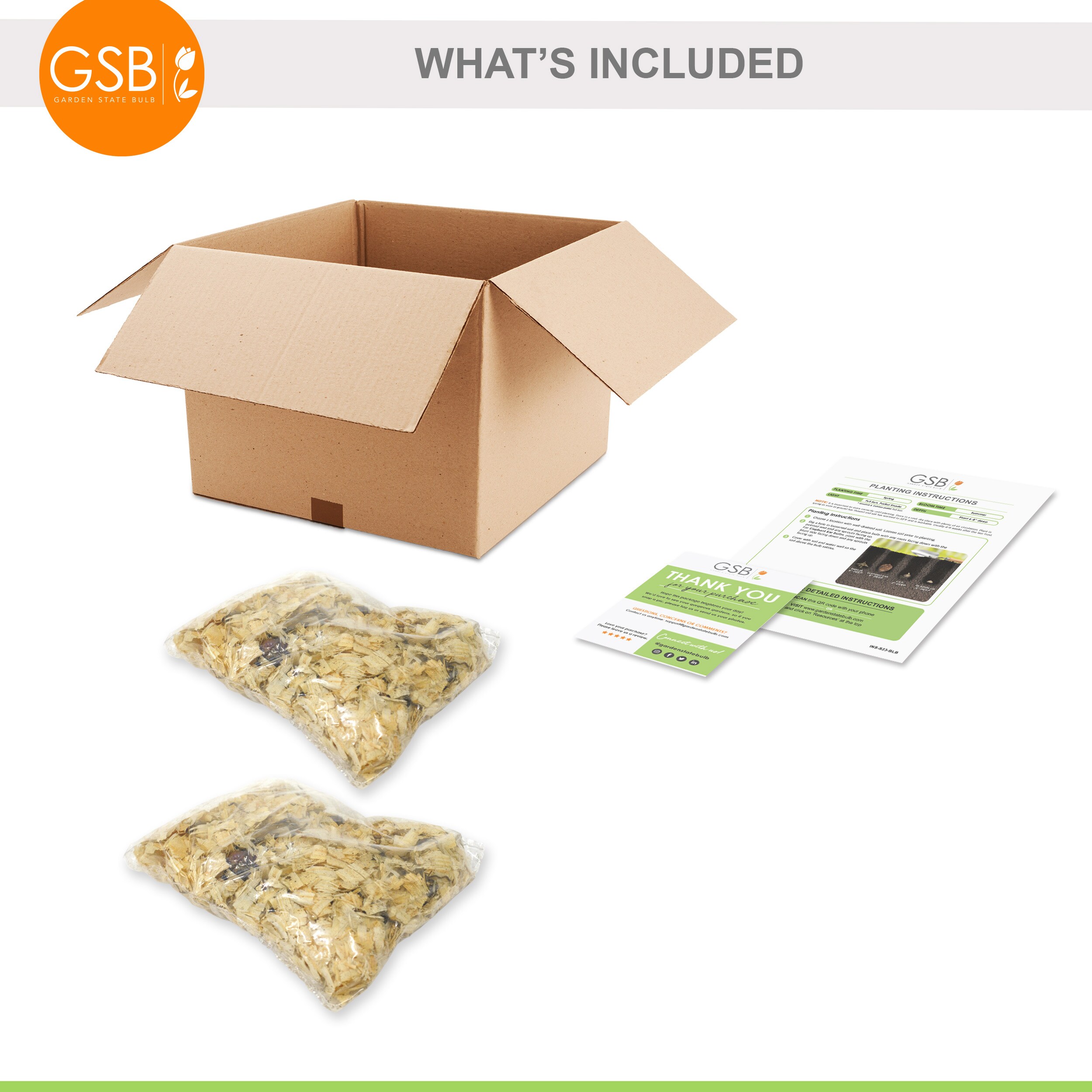 Garden State Bulb ECS-51-20-02 Plant-Bulbs - View #6