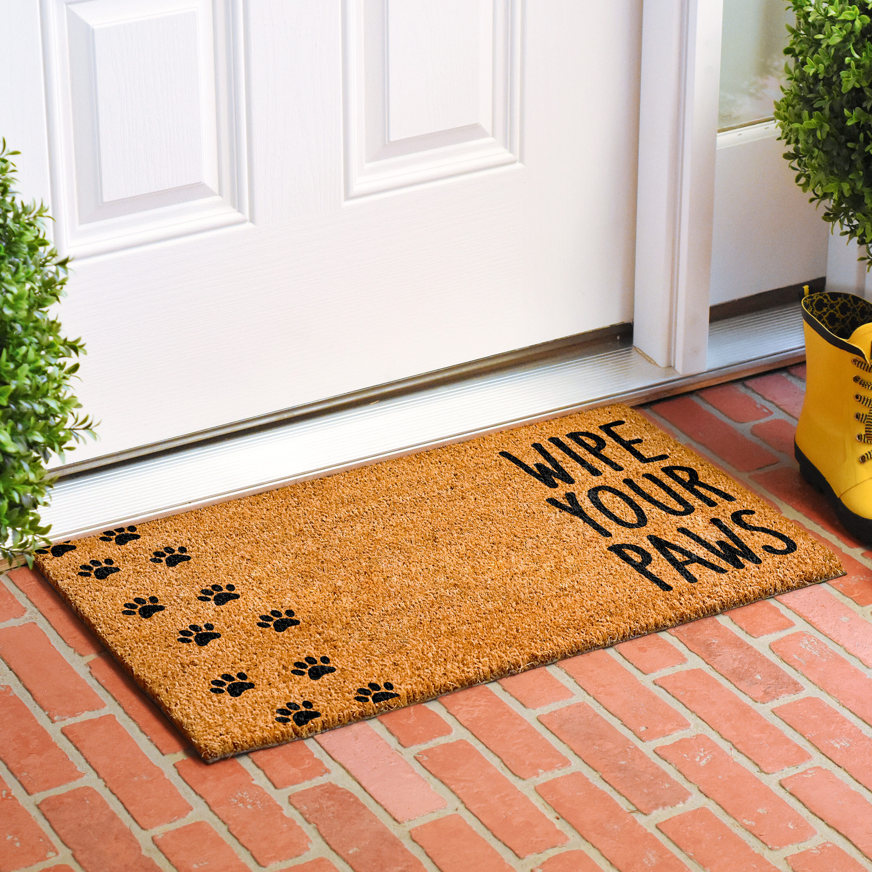Callowaymills 109833048 Mats-Cat - View #2