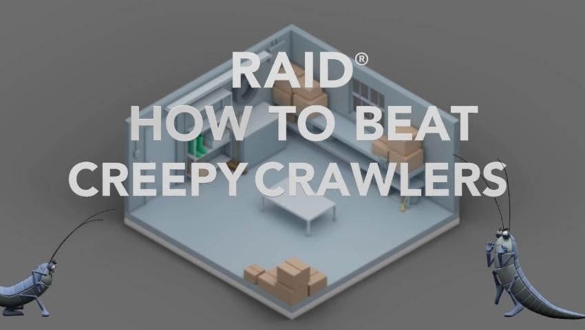A thumbnail for the video