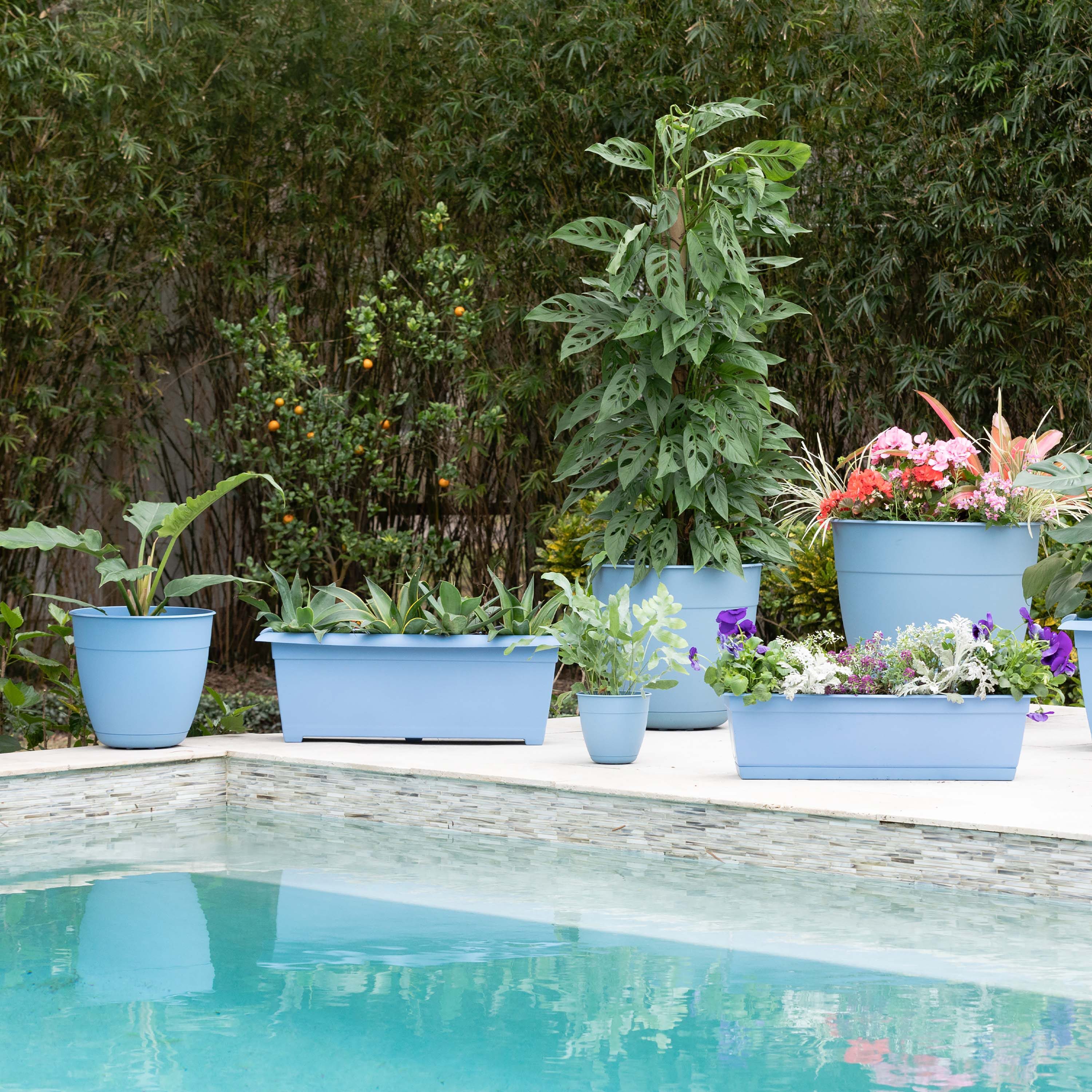 Bloem DAYDB2771 Planter-Window-Box - View #2
