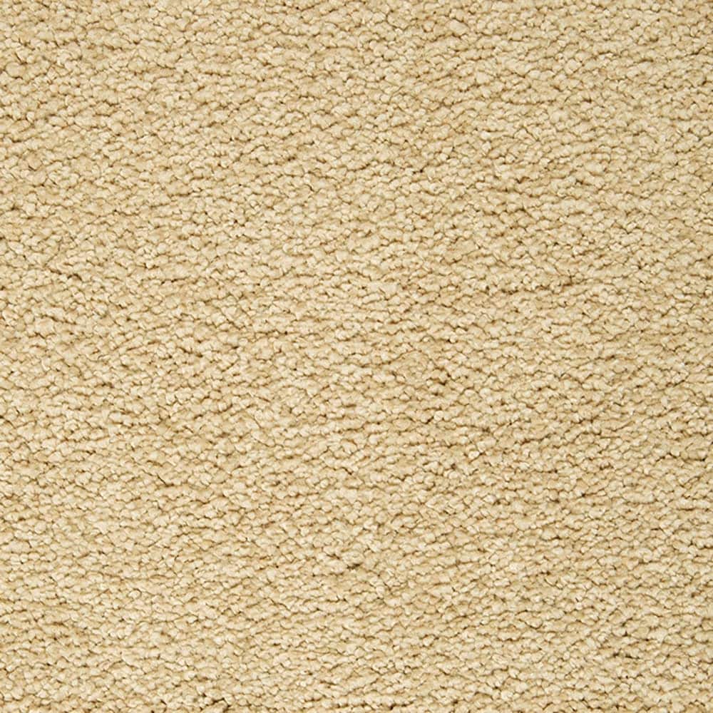 STAINMASTER PetProtect STP56-12-L018 Pawfection Shoreline Brown 70-oz sq yard Triexta Textured Indoor Carpet
