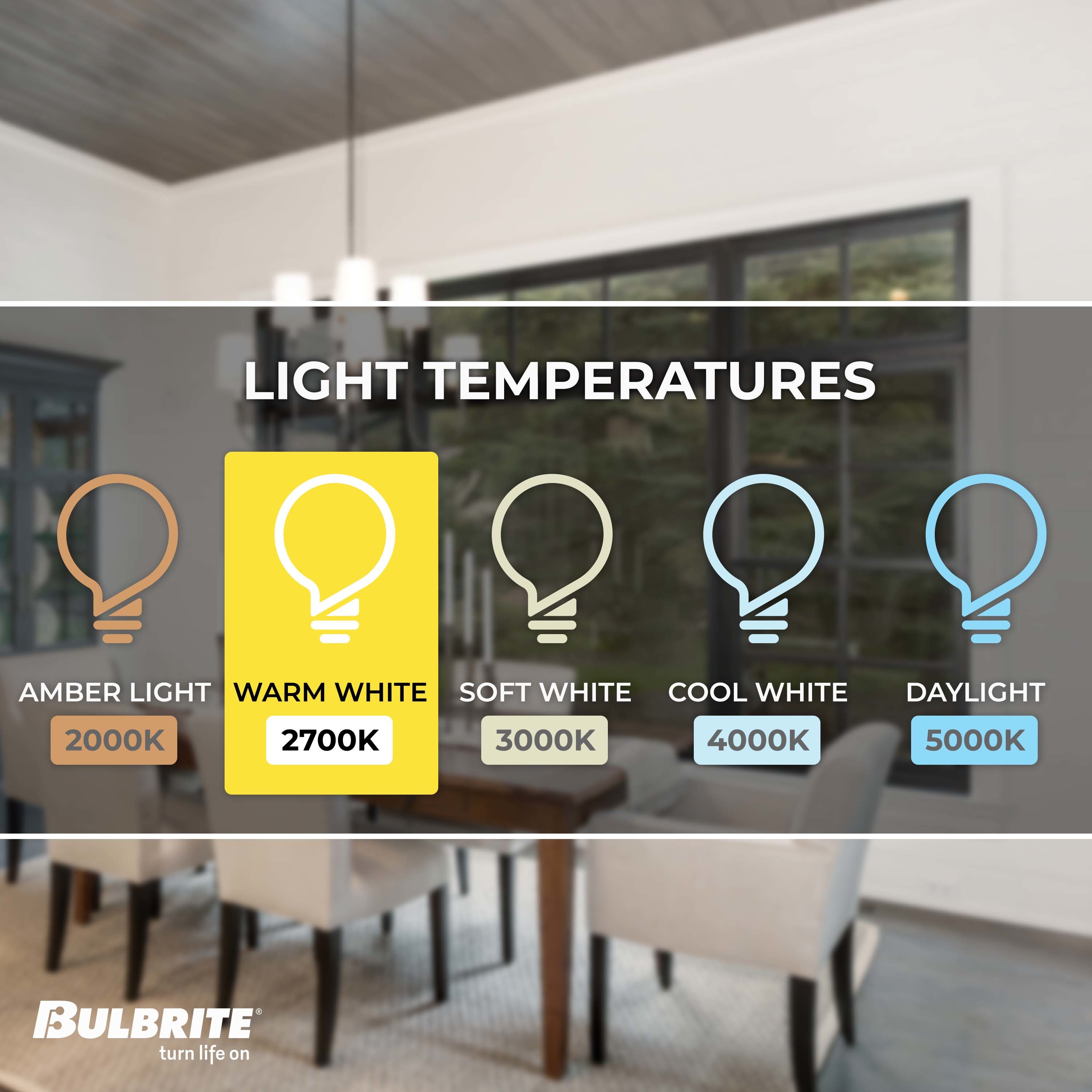 Bulbrite 861984 Dec-Led-Light-Bulbs - View #4