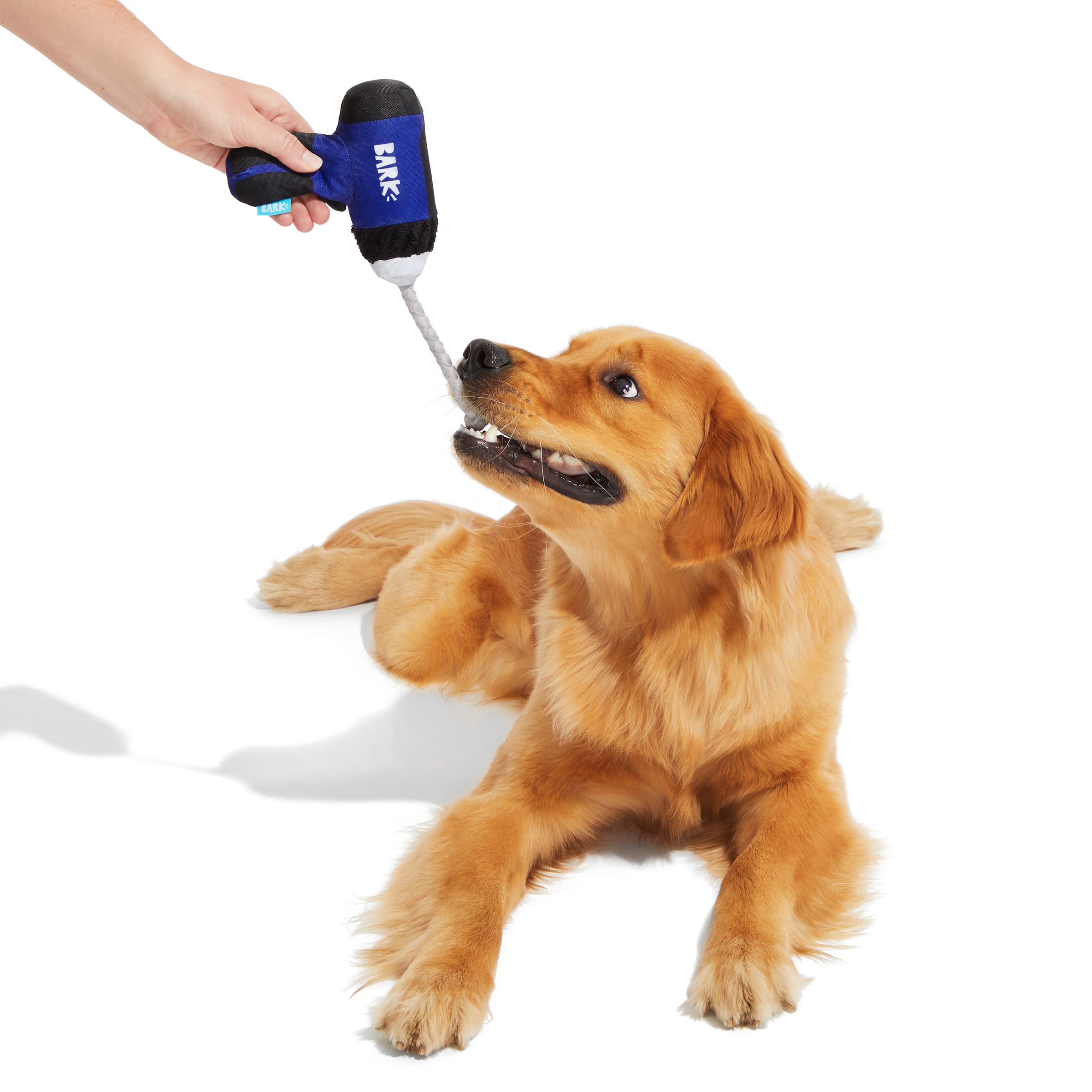 BARK 214988 Dog-Toys - View #3