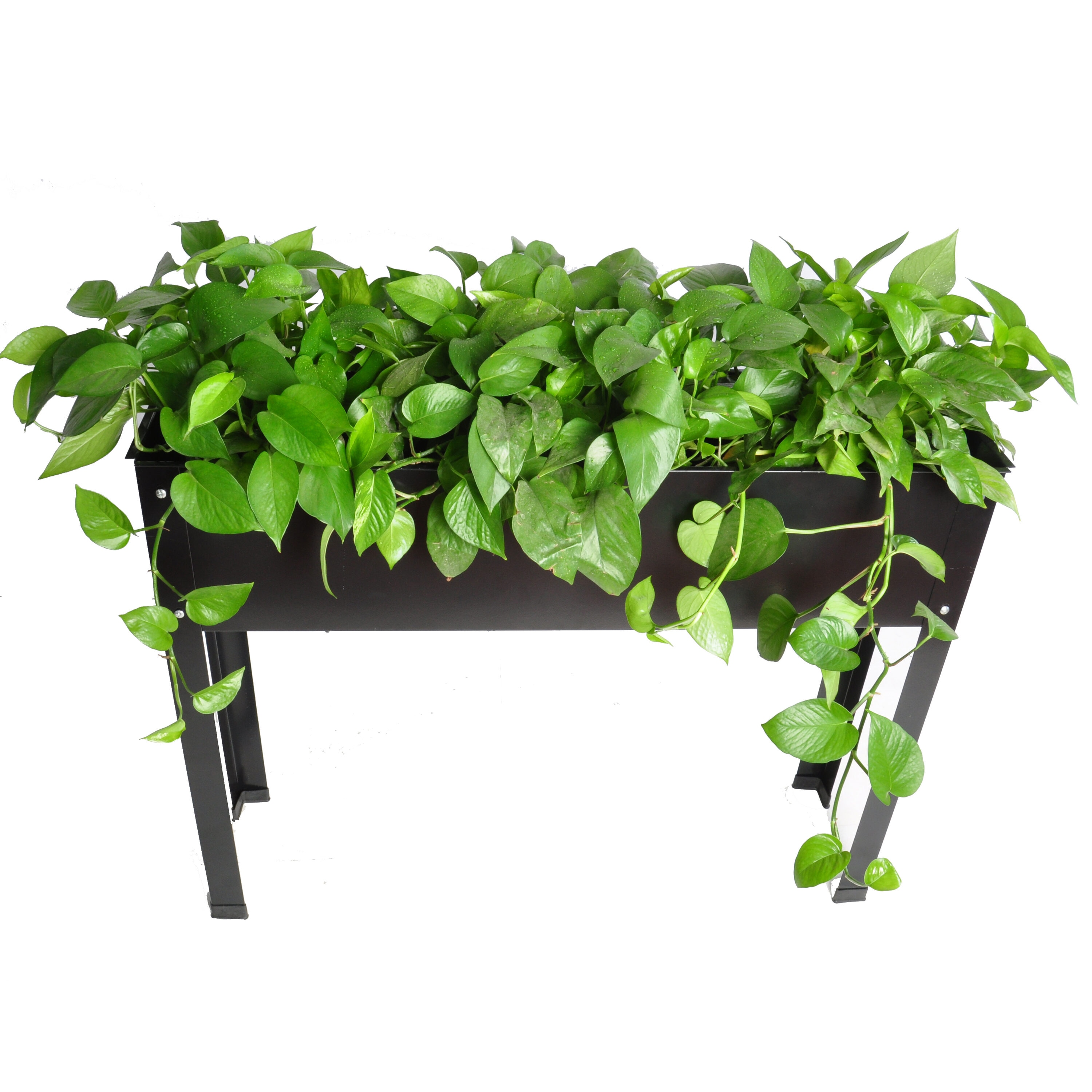Forclover TEUQDMU02 Raised-Planter-Boxes - View #4