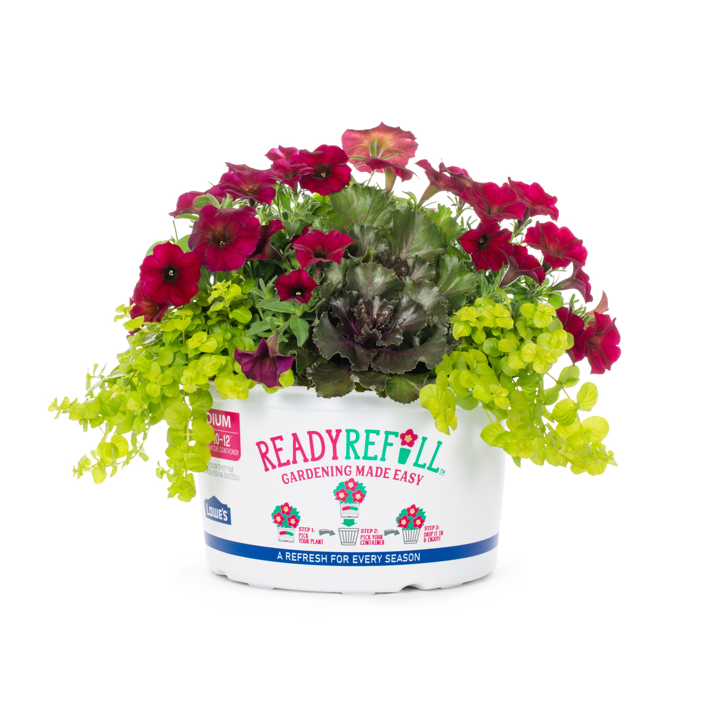 Ready Refill Annuals Combo Plants, Bulbs & Seeds at Lowes.com