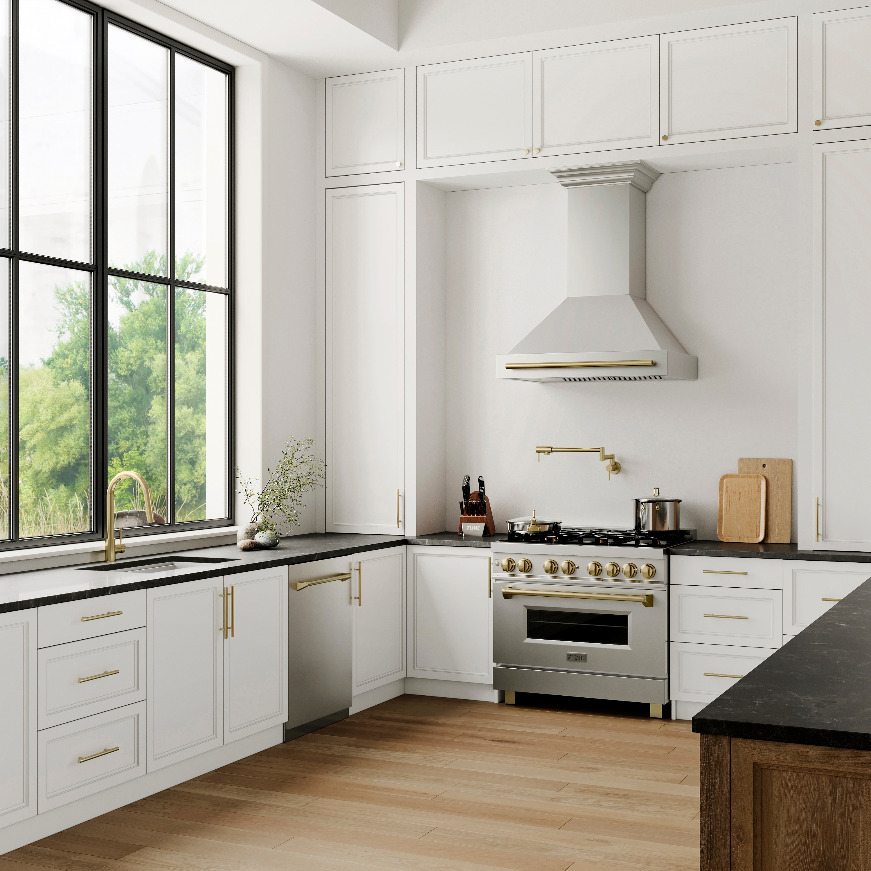 ZLINE KITCHEN & BATH DWVZ-304-24-CB Builtin-Dish - View #8