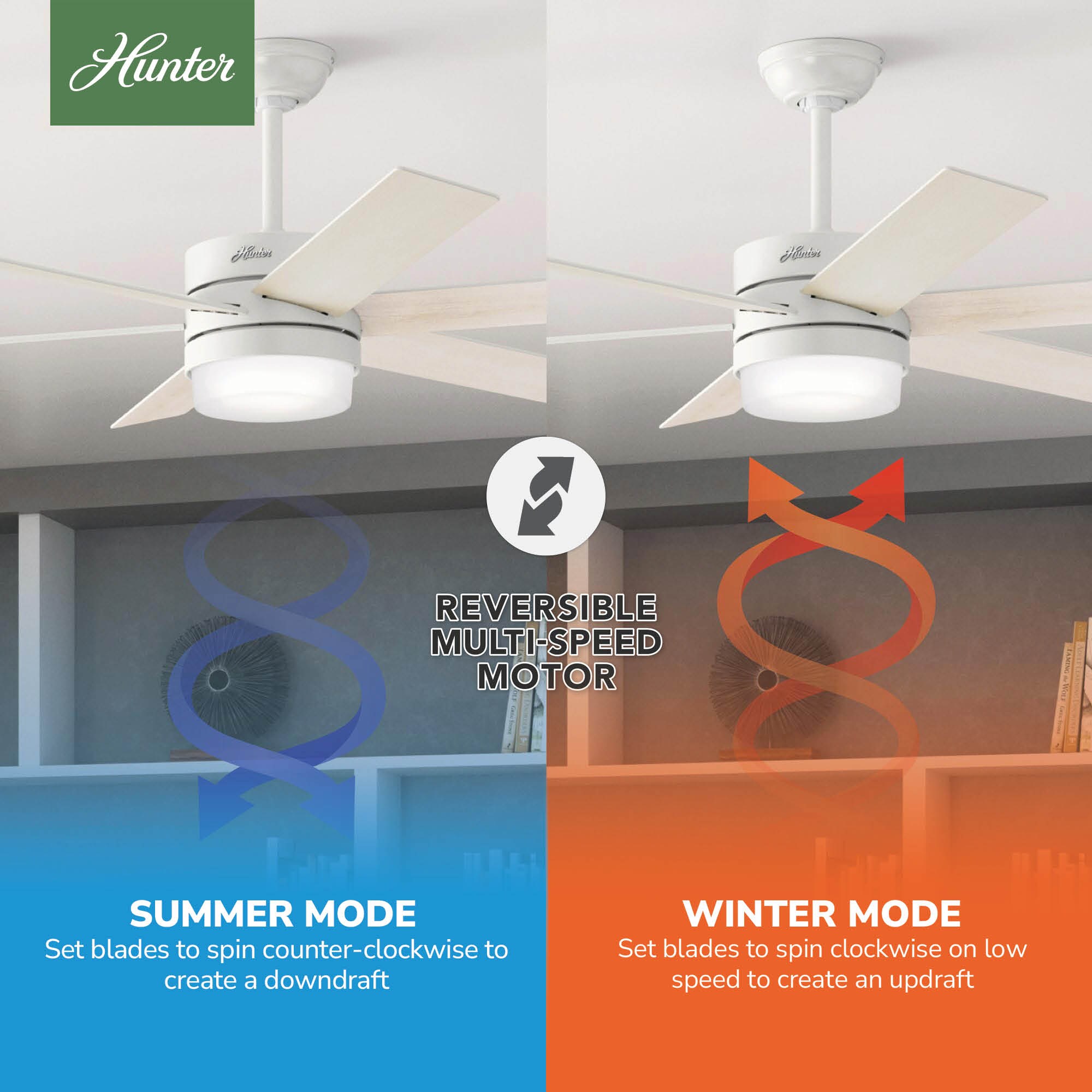 Hunter 50198 Ceiling-Fans - View #8