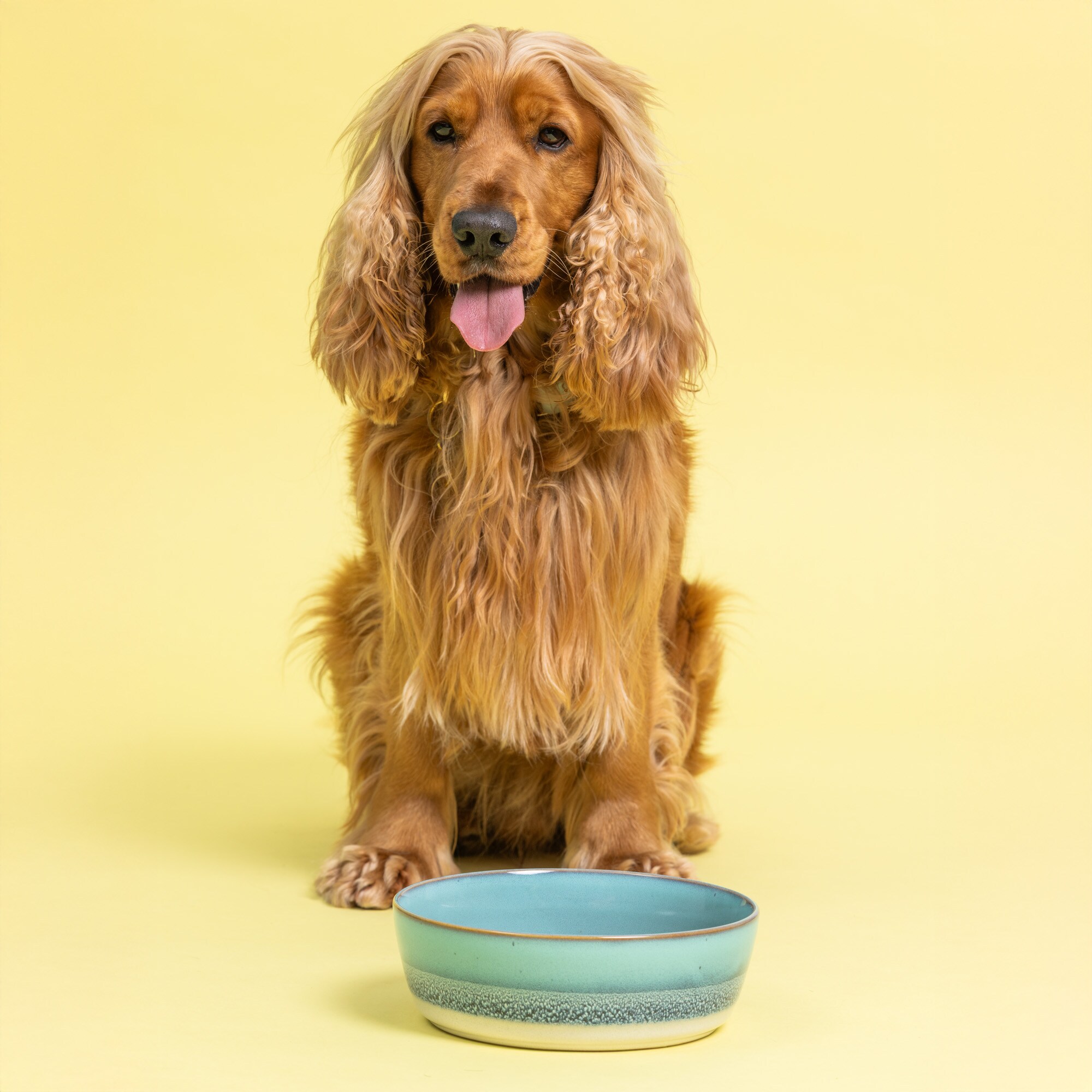 Mason Cash 2035.494U Pet-Bowls - View #2