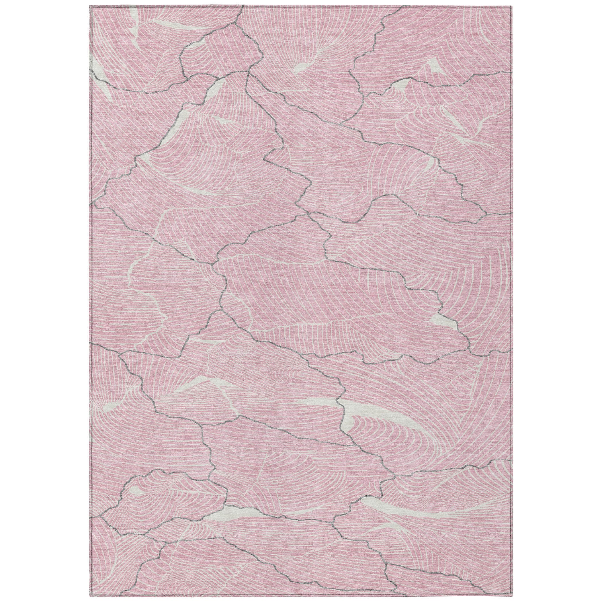 Addison Rugs ACN1048PI30X46 rugs - View #2