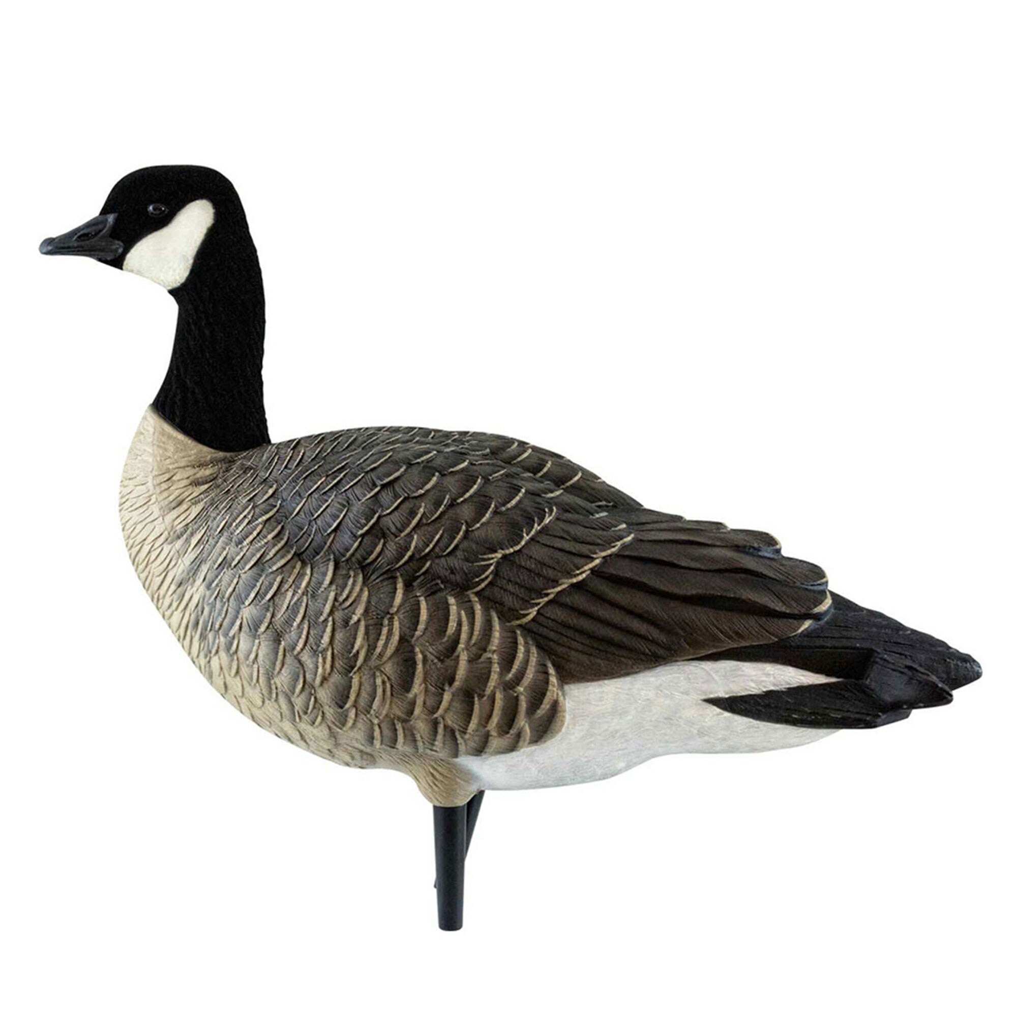  Avian X 399283 Hunting-Equipment - View #10