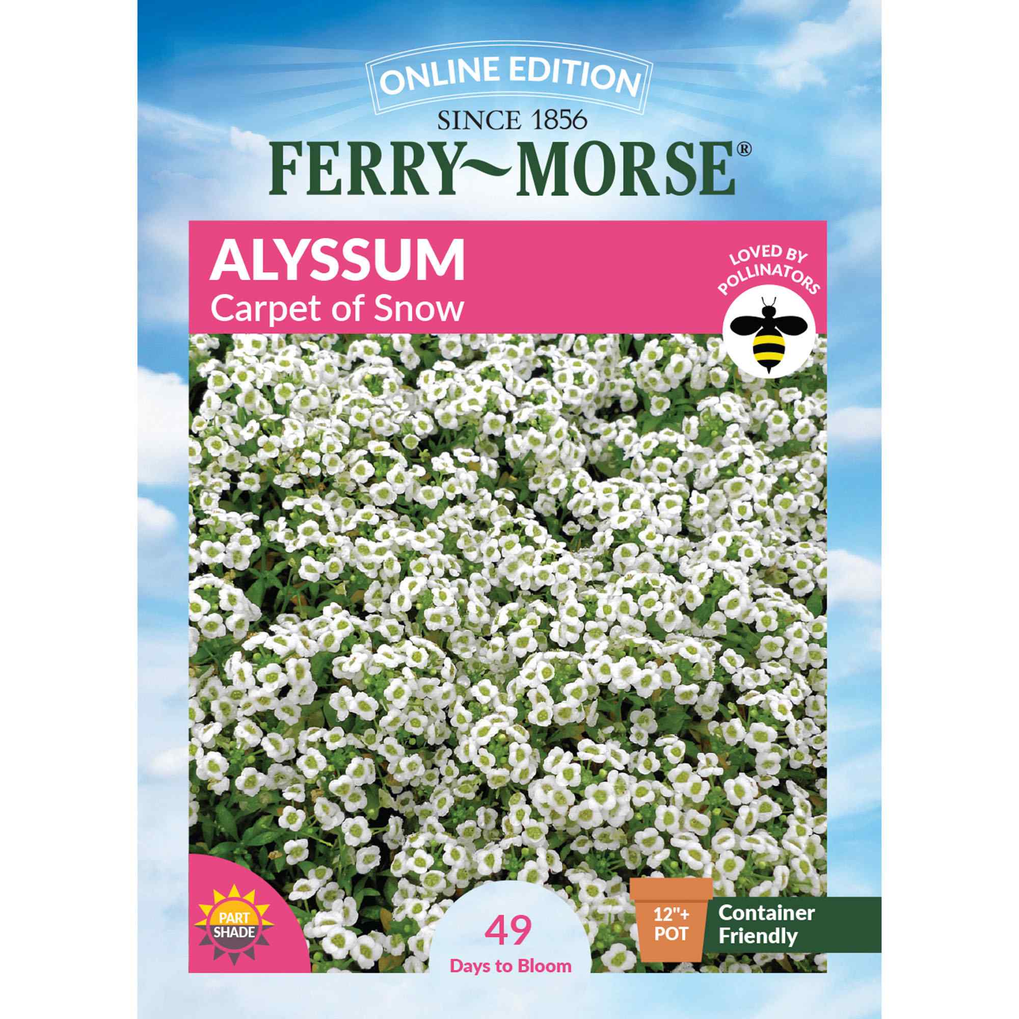 Ferry-Morse LC25.5061 Alyssum Seeds 400 Milligram(s)