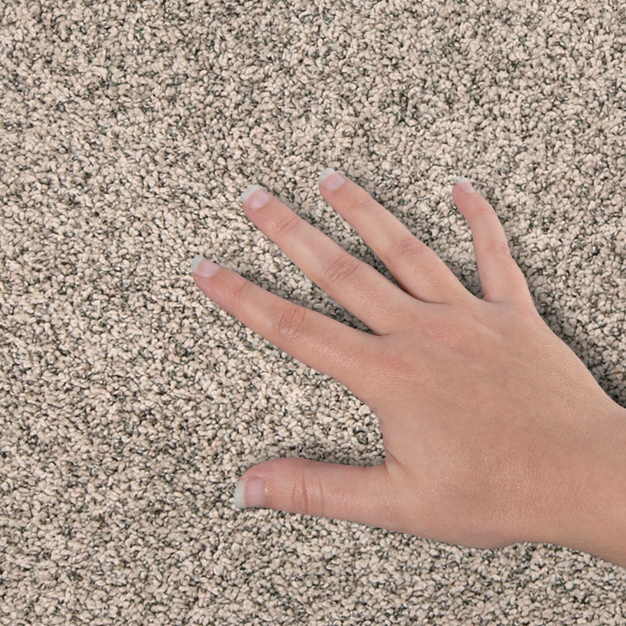 STAINMASTER PetProtect SS058-L006-S0808 Carpet-Samples - View #4