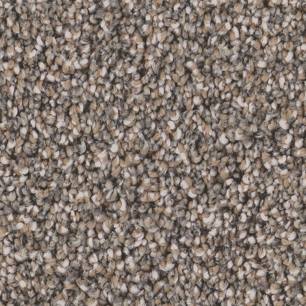 STAINMASTER 7L959-523-SAMP (Sample) 8-in x 8-in Welcome Retreat II Stone Crest Gray 53.6-oz sq yard High-performance polyester Textured Indoor Carpet