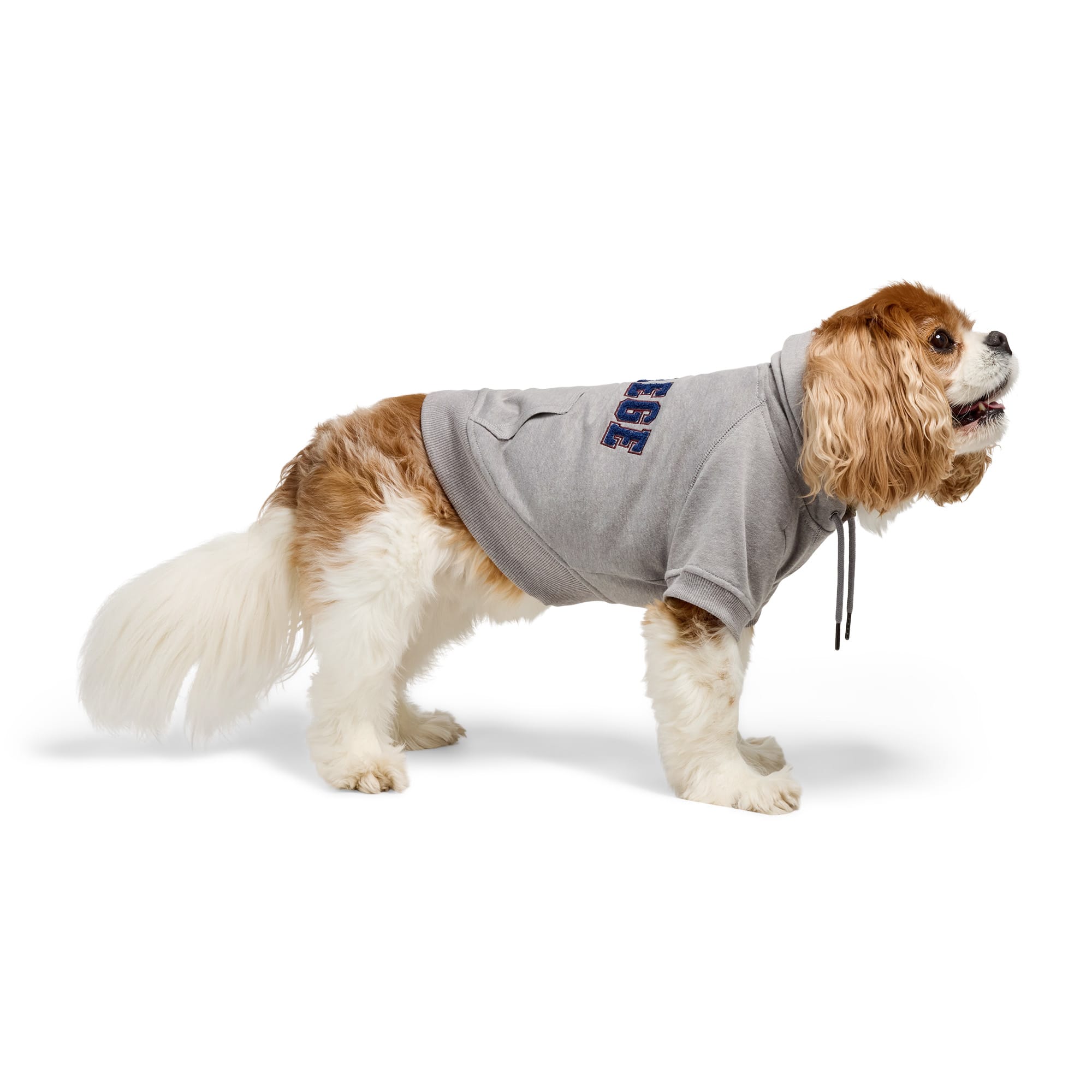 Reddy 25-2001RD Dog-Clothing-Acc - View #3