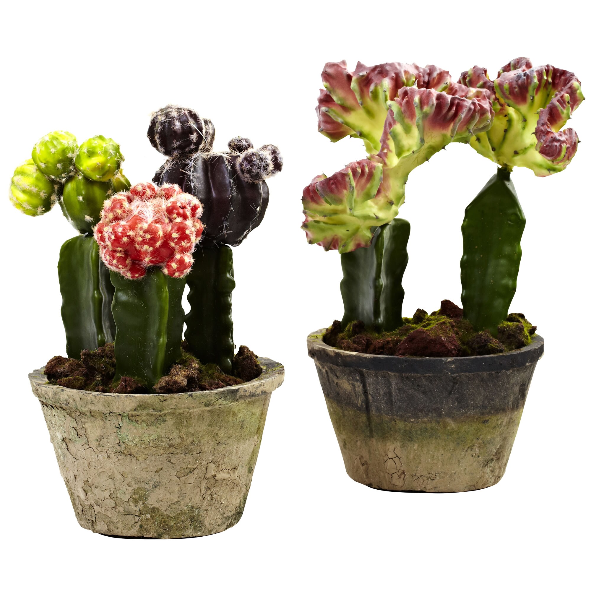 Nearly Natural 4843-S2 9.5-in Assorted Indoor Silk Artificial Plant