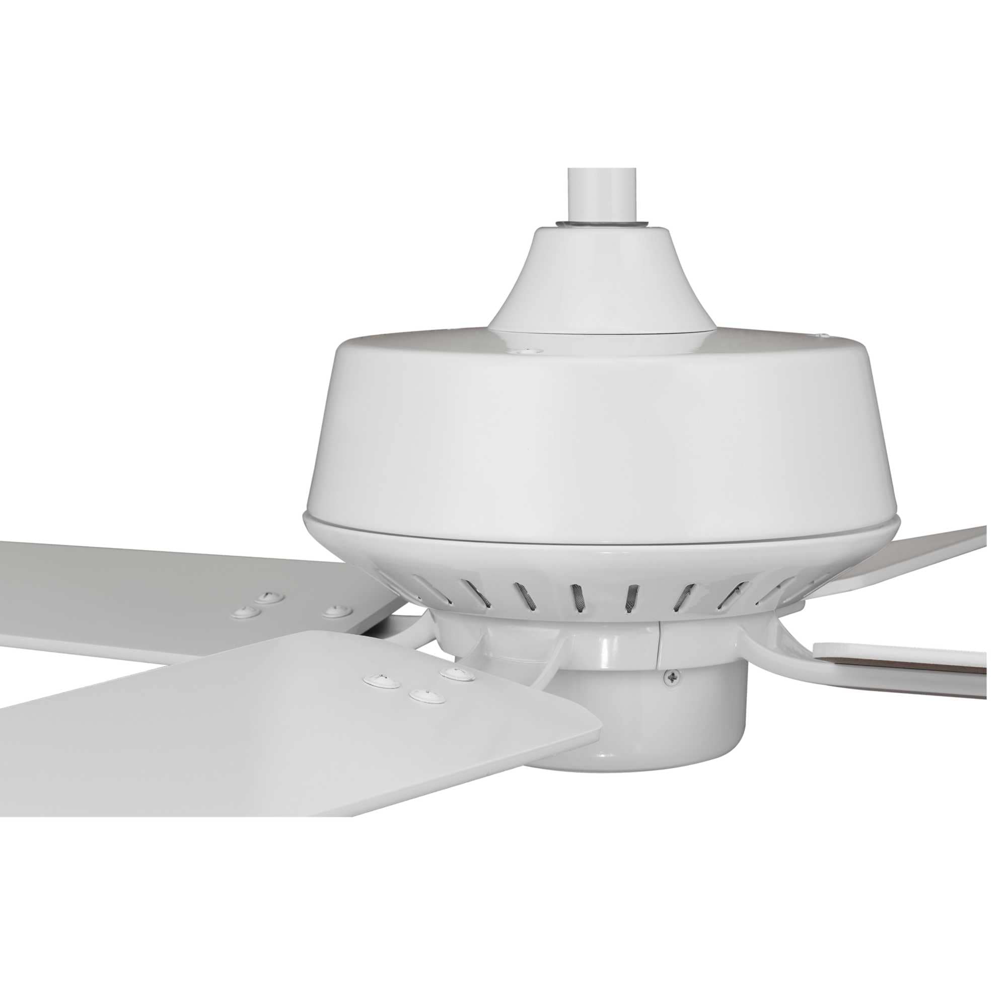 Progress Lighting P250008-030 Ceiling-Fans - View #9
