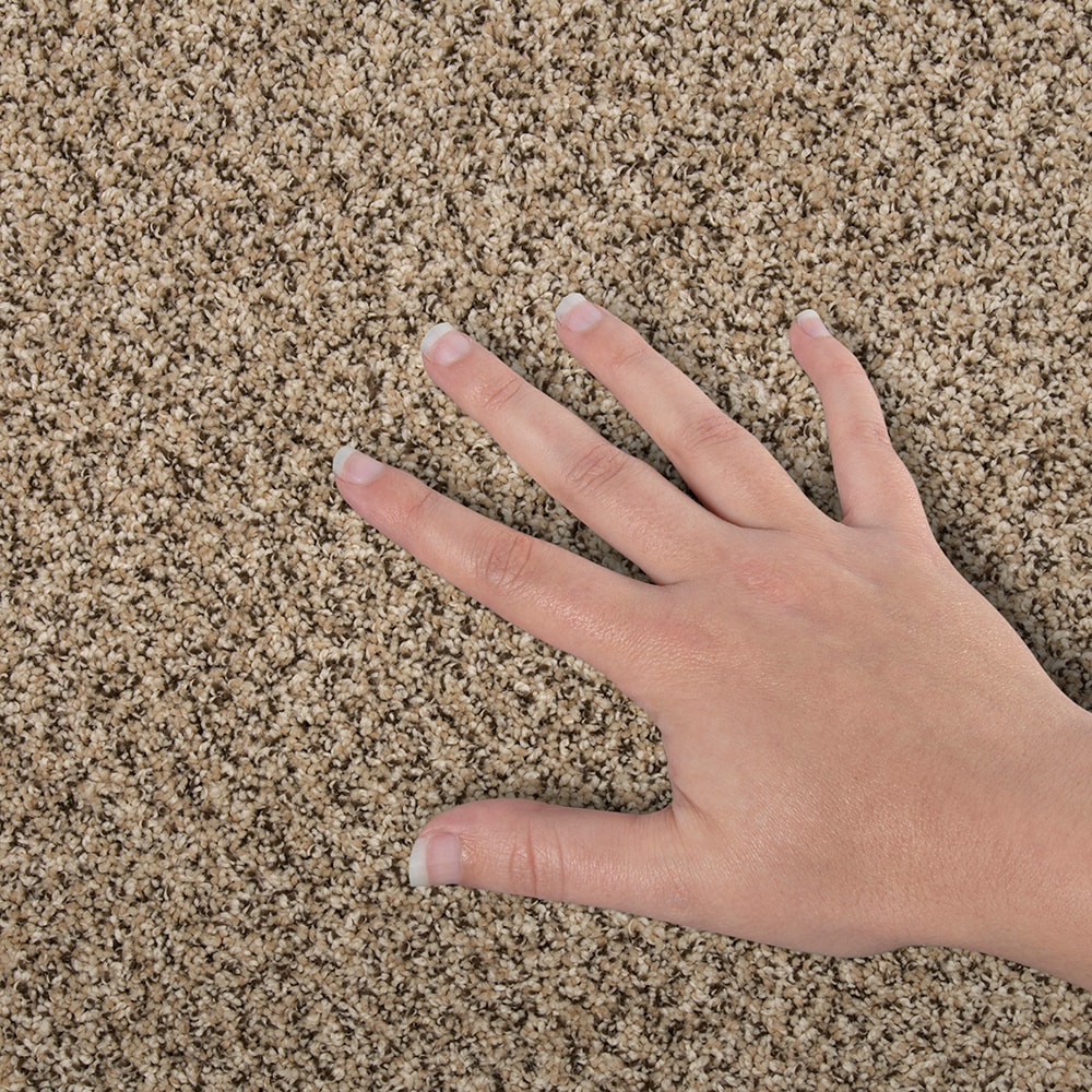 STAINMASTER SS033-12-L002 Carpet-Panel - View #4