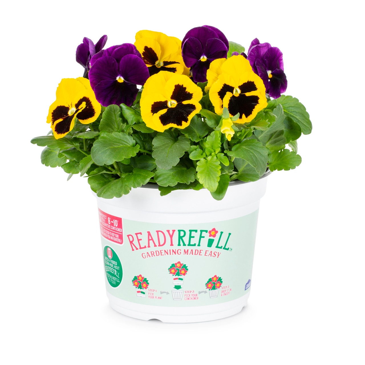 Ready Refill 4860 annuals - View #4