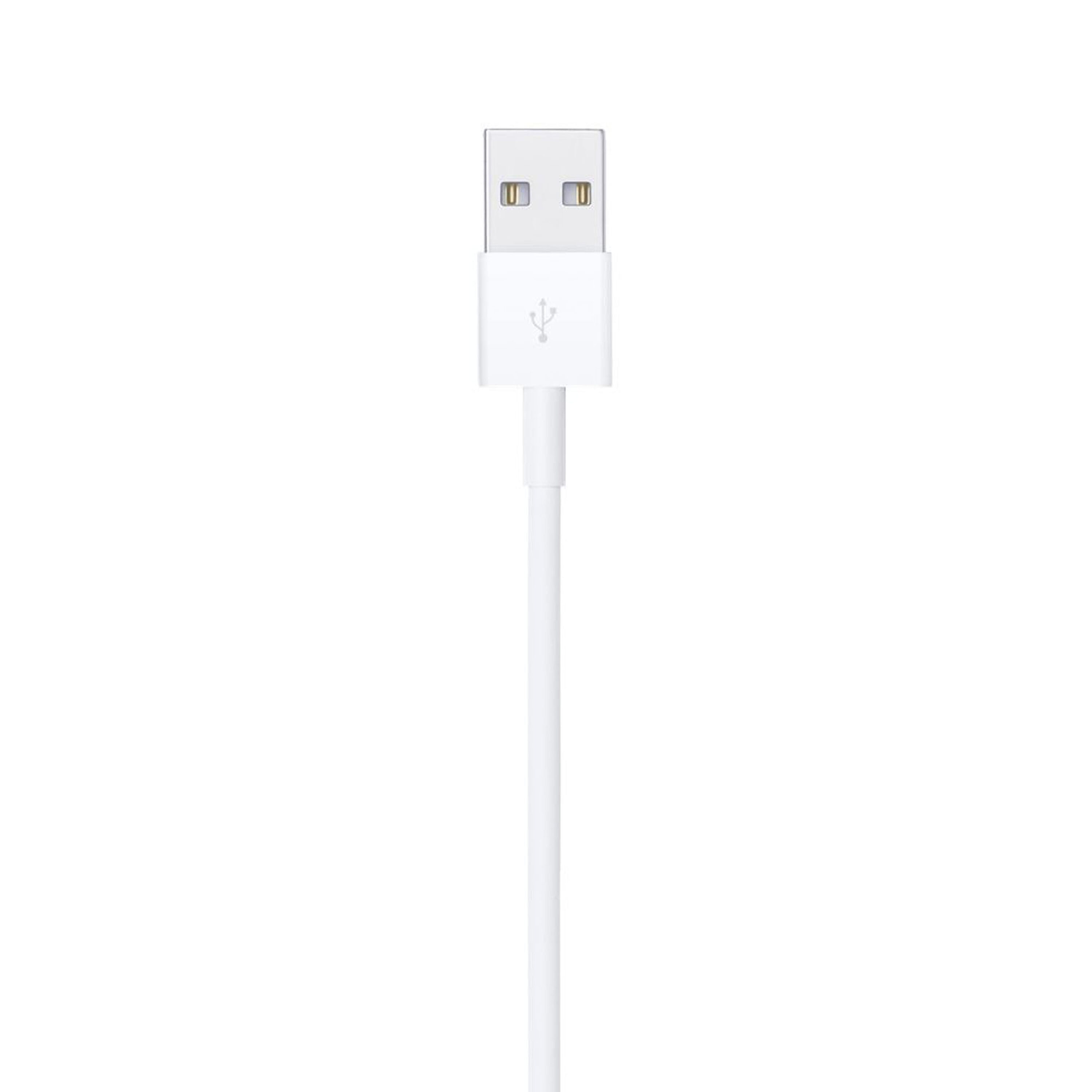 Apple Lightning USB Cable 2M in the USB Cables department at