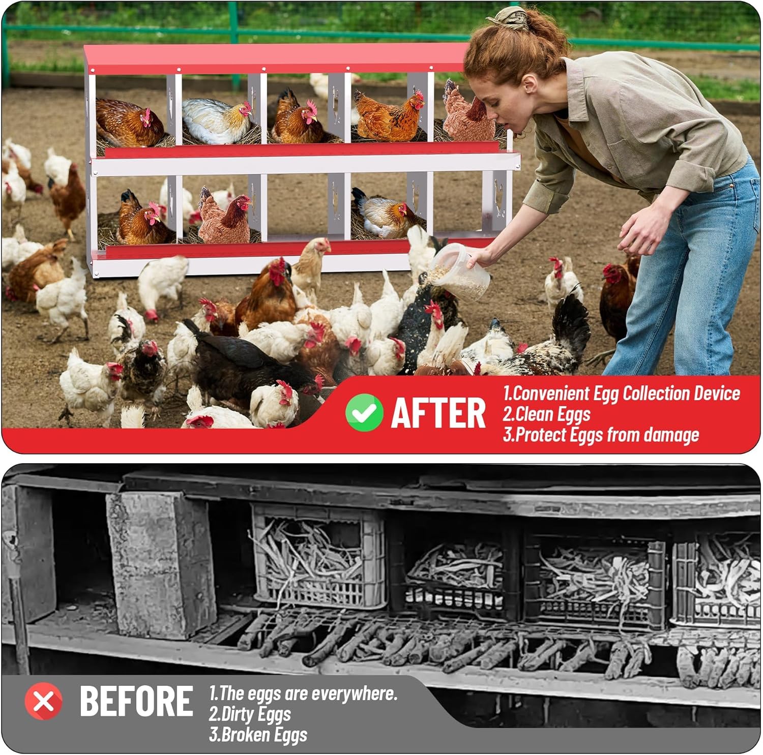 Qeetex WLS-PHO-348SEVXW Chicken-Coops-Rabbit-Hutches - View #8
