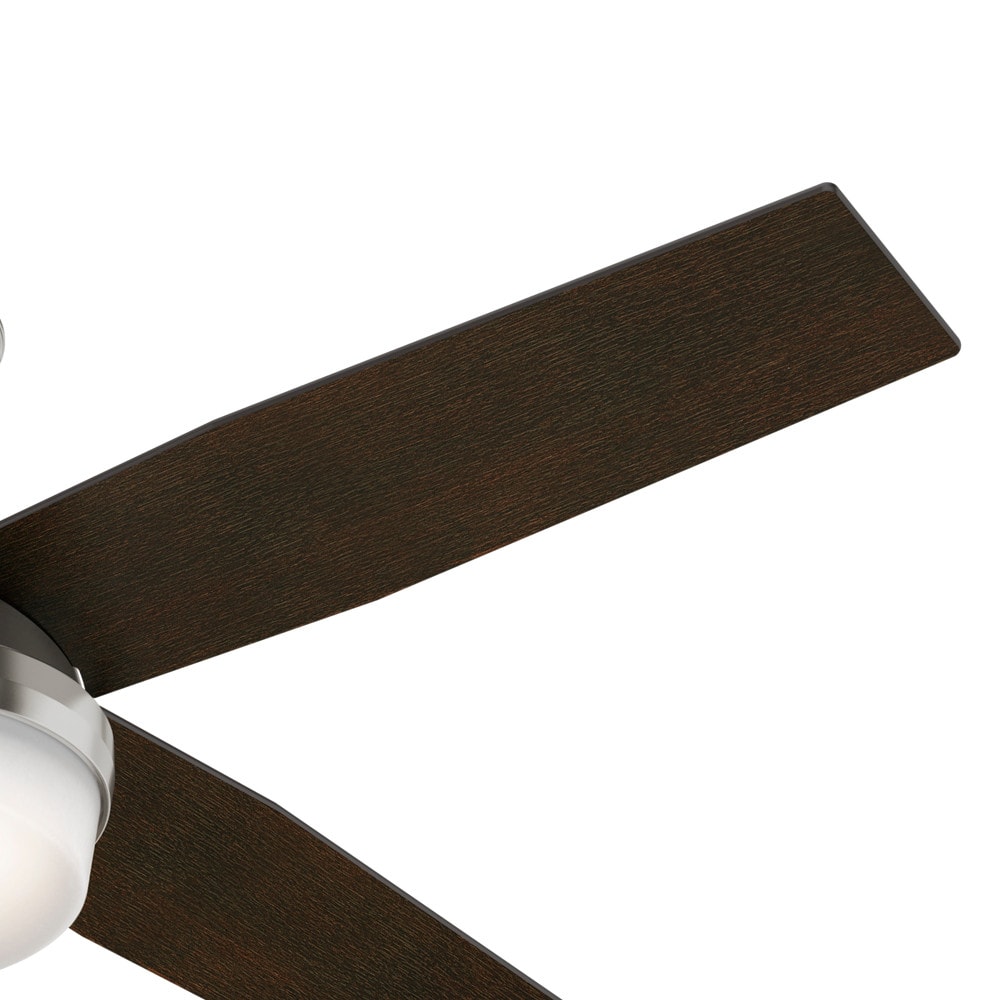 Hunter 59216 Ceiling-Fans - View #12
