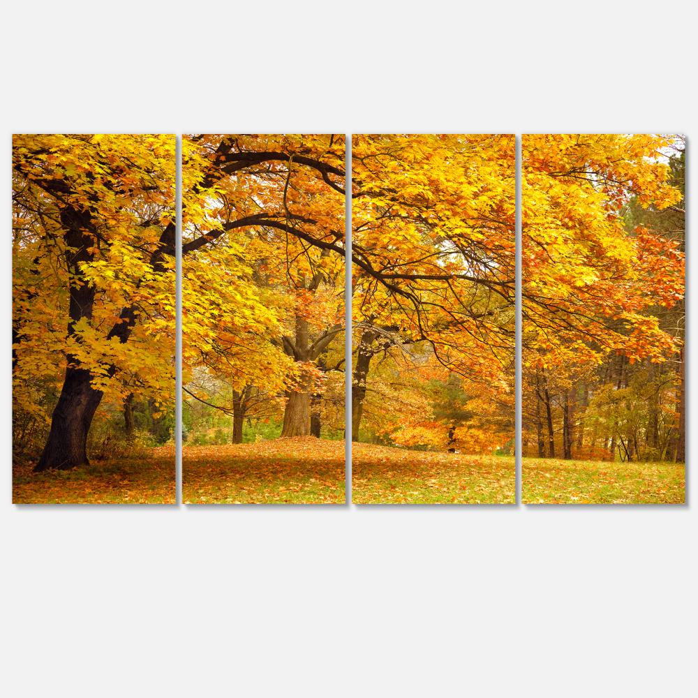 Designart PT6883-271 28-Inches H x 48-Inches W Landscape Canvas Print