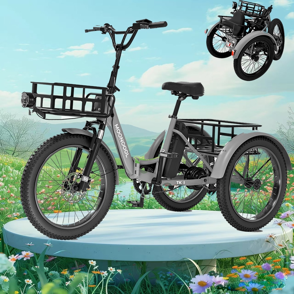 Esazn P1600161-TK120432GR 20-in Adult unisex E-bike