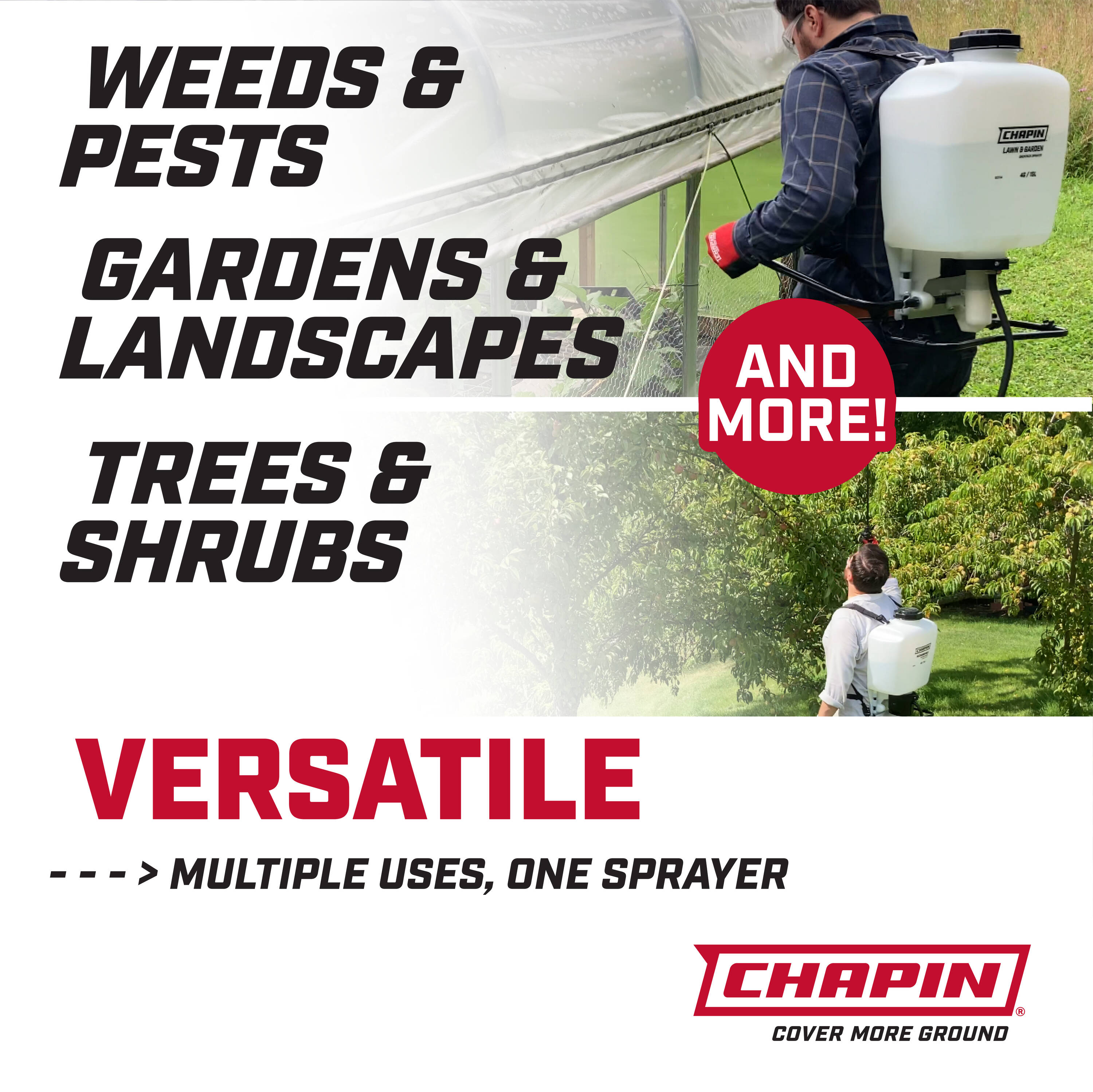Chapin 4-Gallon Lawn and Garden Sprayer in the Garden Sprayers