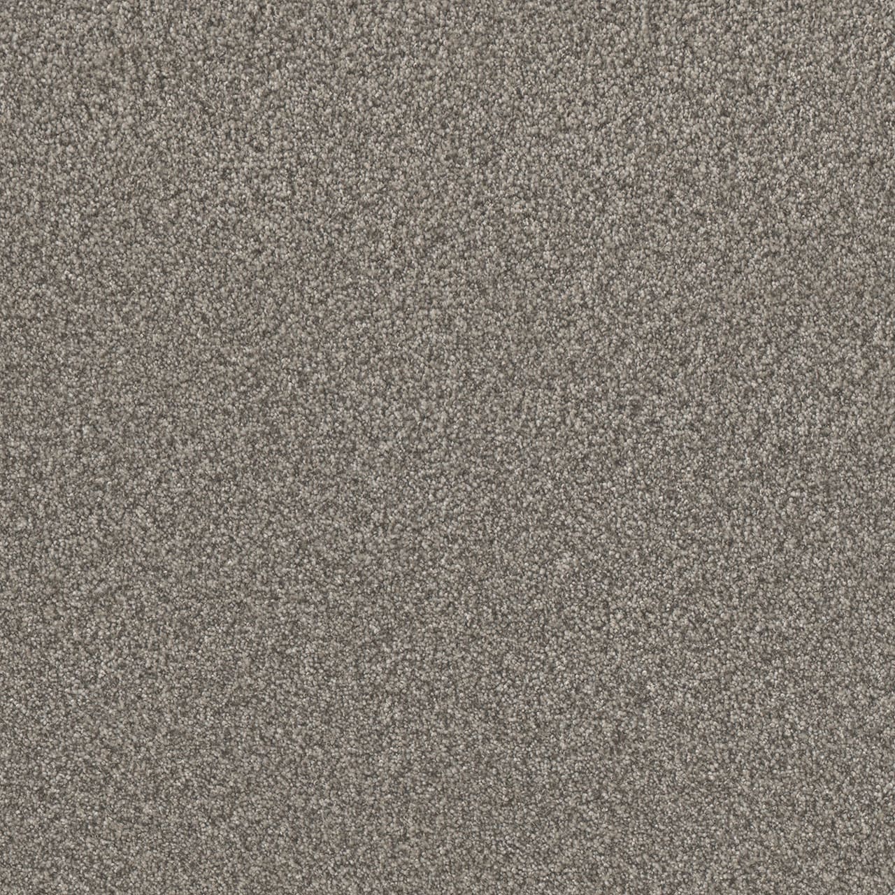 STAINMASTER PetProtect L3013-1310-1200-AB Wagging Rights I Lagotto Gray 45-oz sq yard Solution-dyed polyester Textured Indoor Carpet