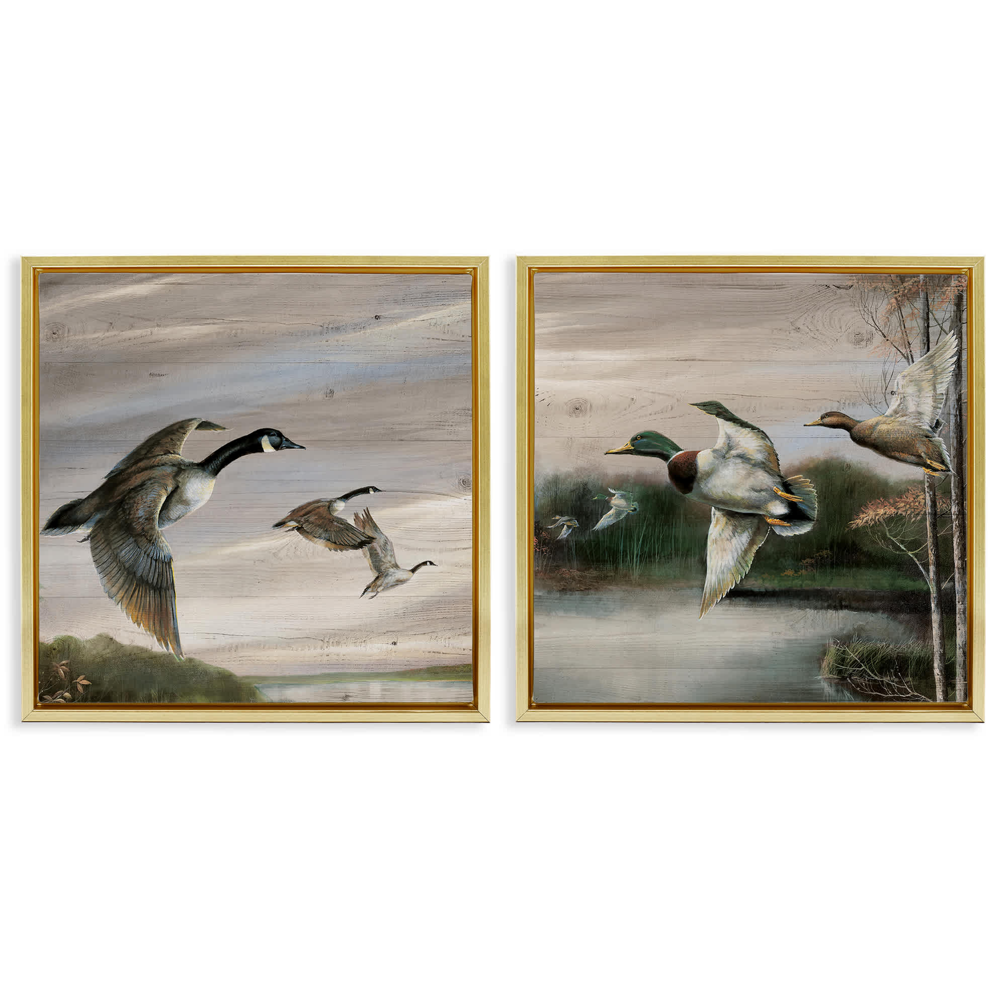 Stupell Industries B2-735-FFG-2PC-24X24 Geese and Ducks in Nature 2pc Floating Frame Set design by Ruane Manning