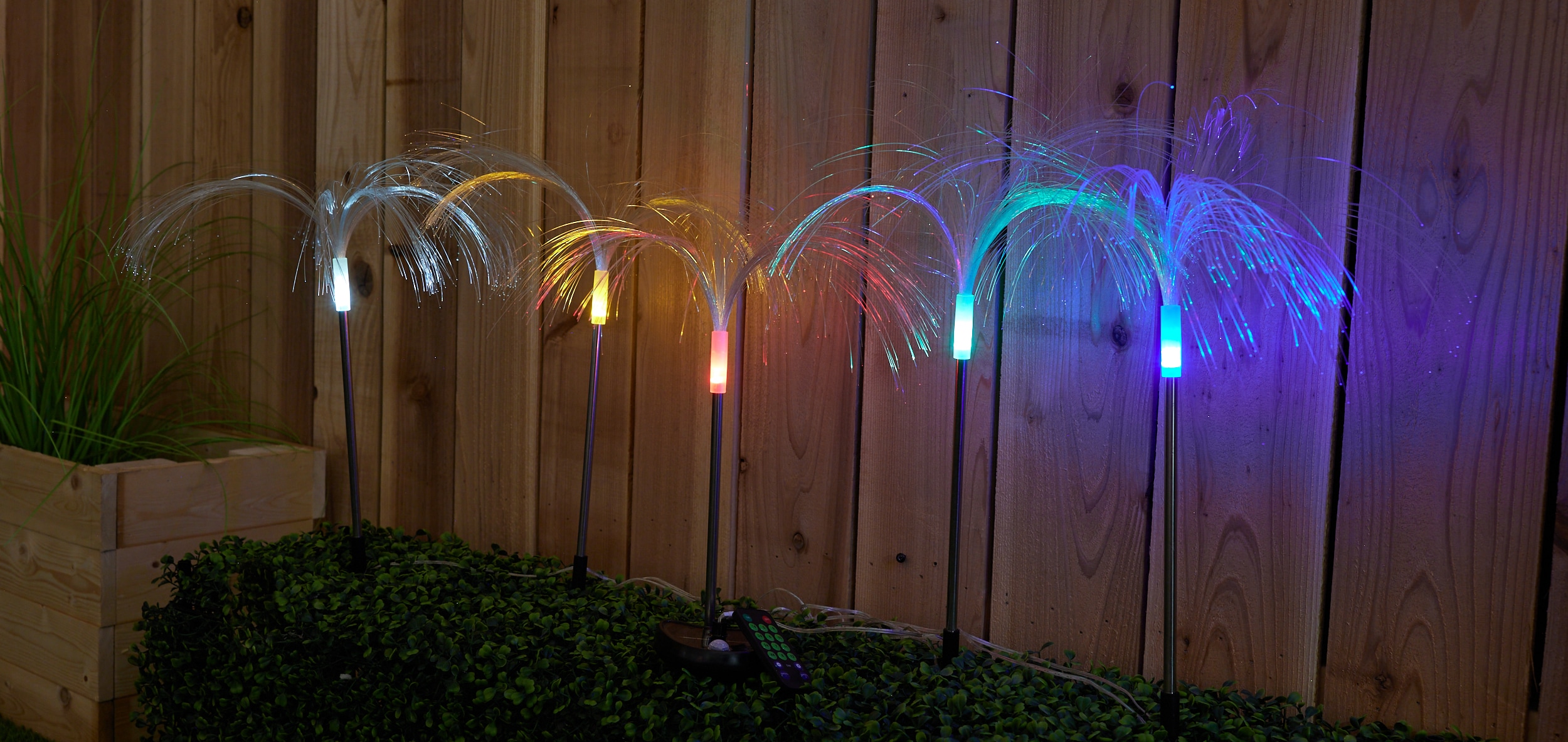 Low Voltage Lighting: Save Power While You Light Up Your Landscape -  JellyFish Lighting