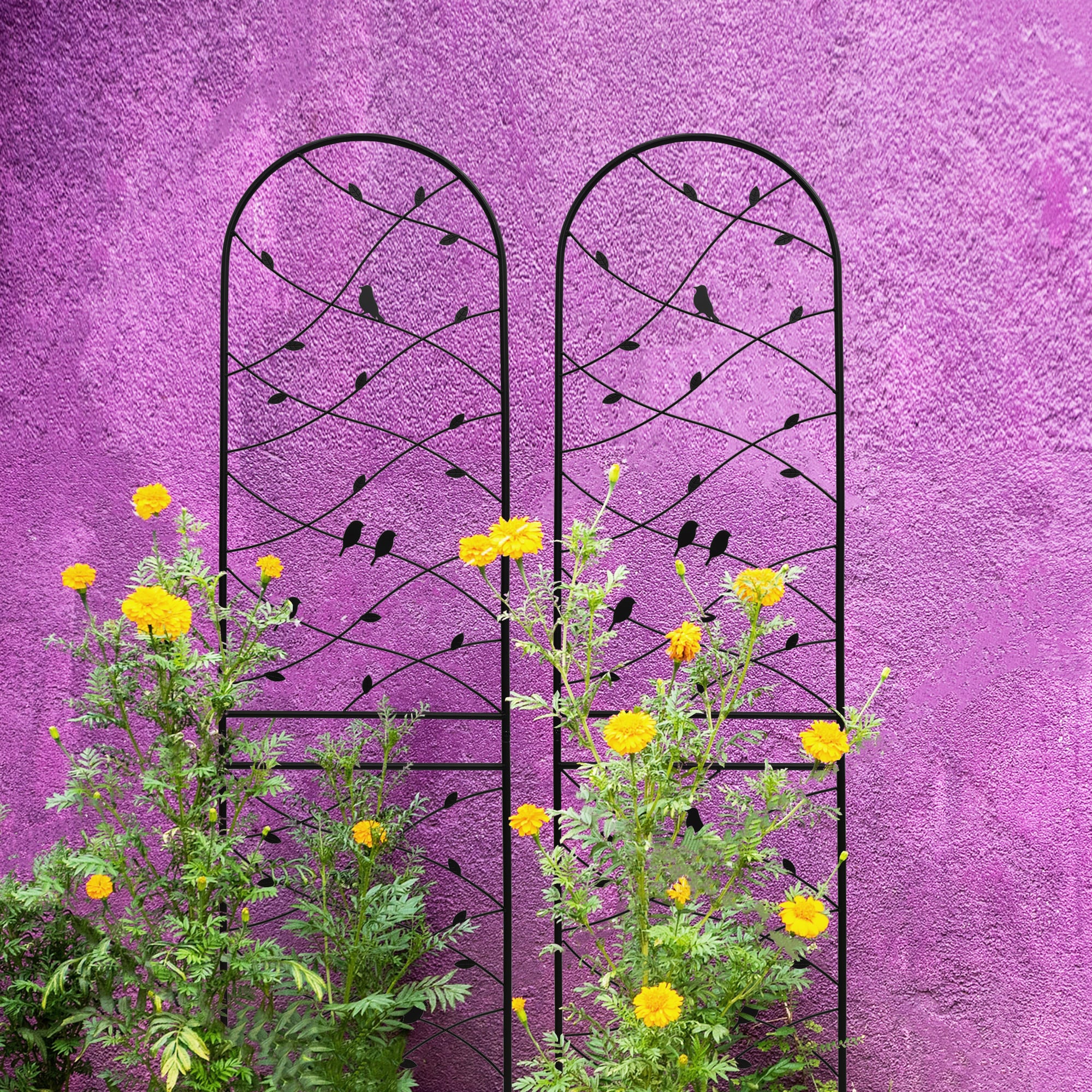 AHIOU HOME ZAAHG-P268066GT Garden-Trellis - View #3