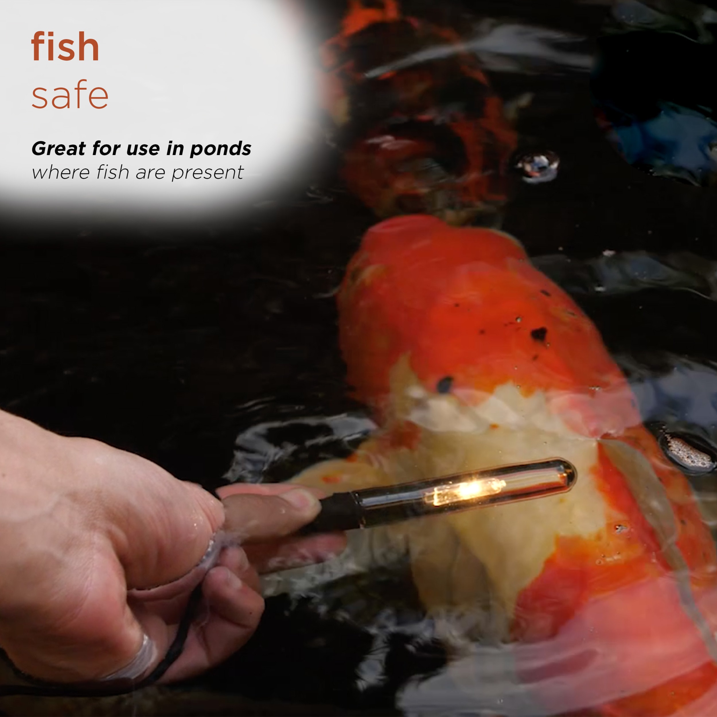 Alpine Corporation UL105CL Pond-Accessories - View #10