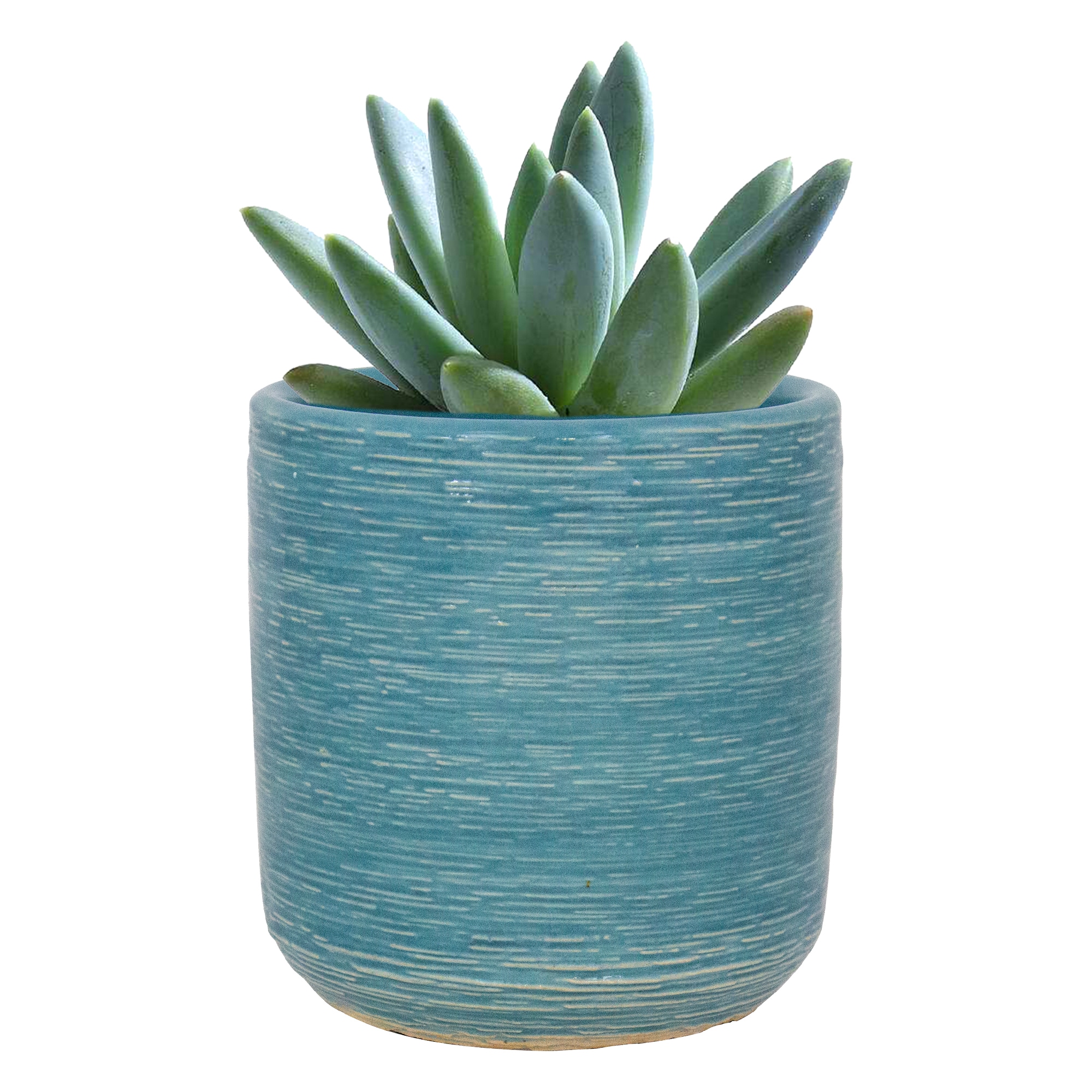 allen + roth CR11367N-045M5 Planter-Window-Box - View #8