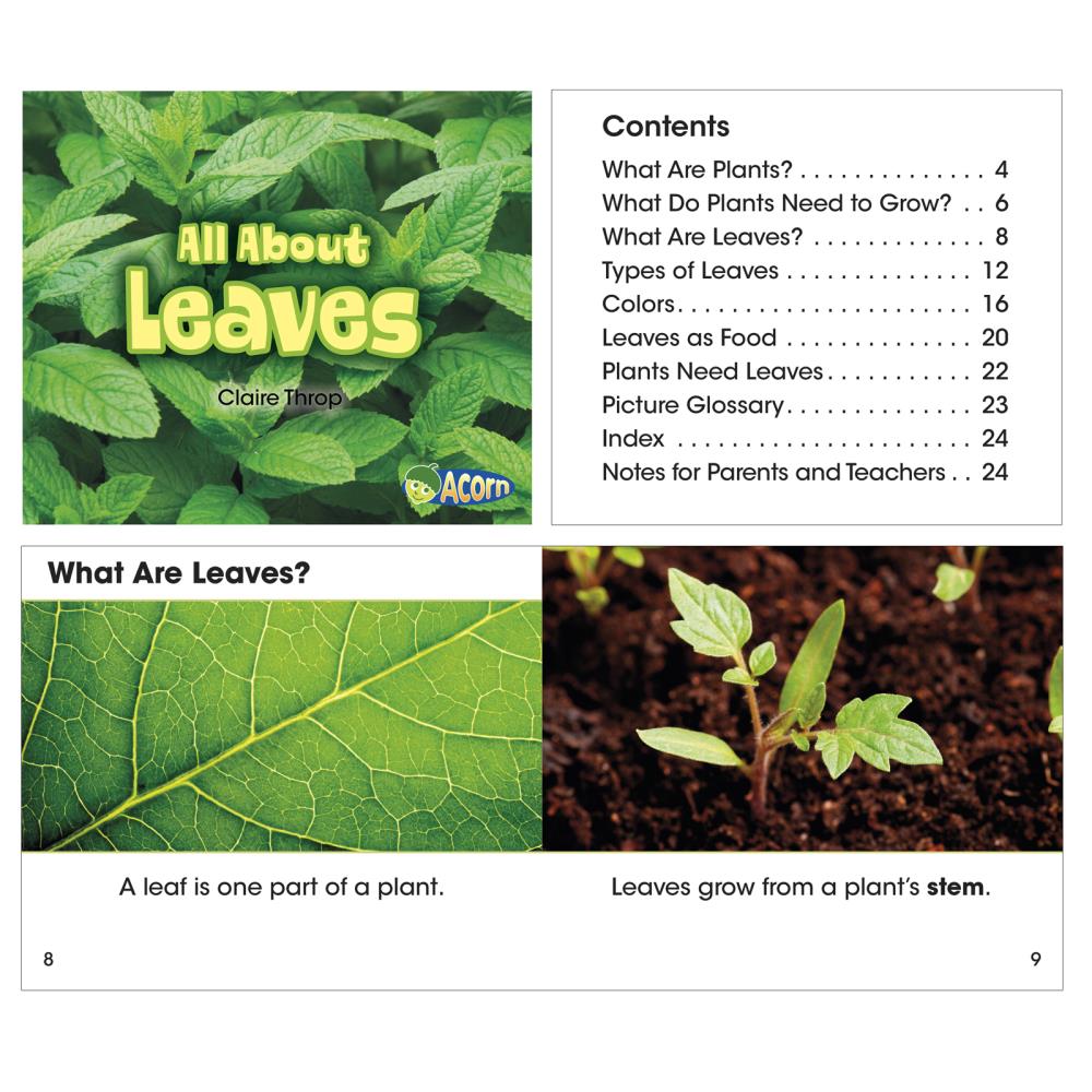 Capstone All About Plants Book Set, Set Of 5 Children's Books at Lowes.com