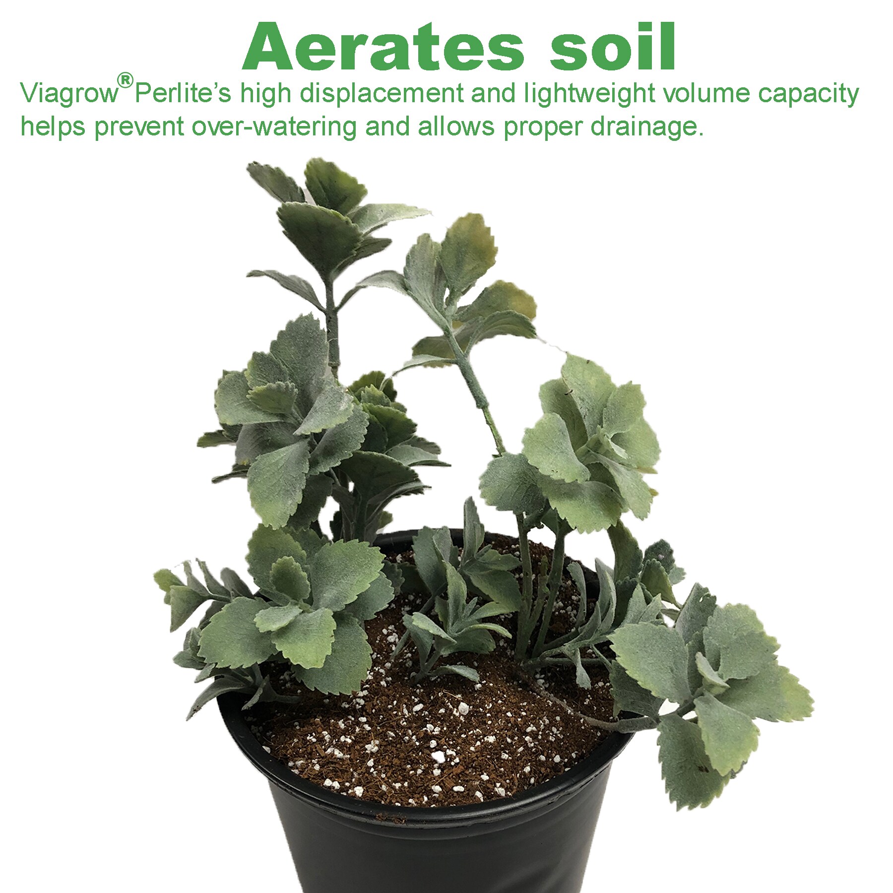 Viagrow VCCBERPER1 Soil-Conditioner - View #8
