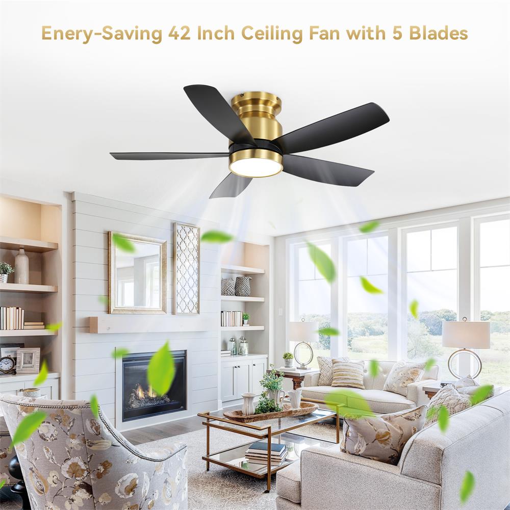 Sofucor LW-42K030-BG-BK Ceiling-Fans - View #2