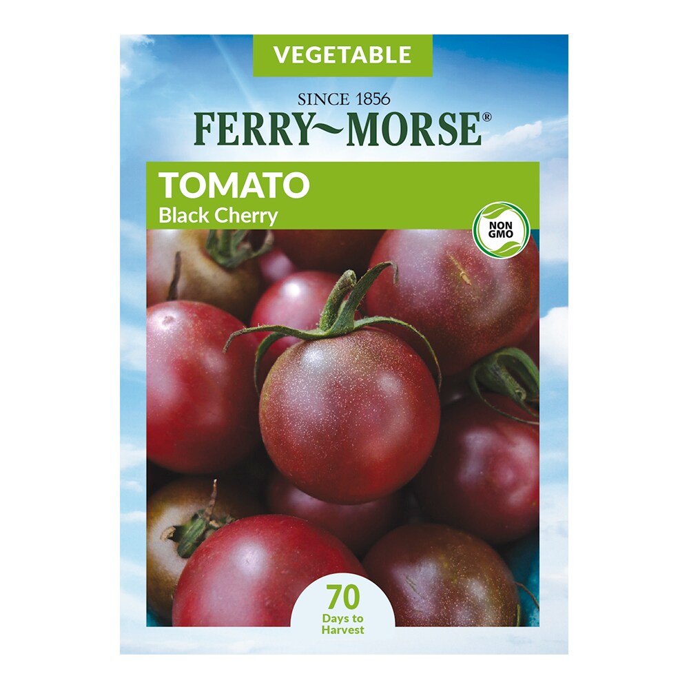 Ferry-Morse Tomato Cherry Black Vegetable Seeds 0.25-Gram at Lowes.com