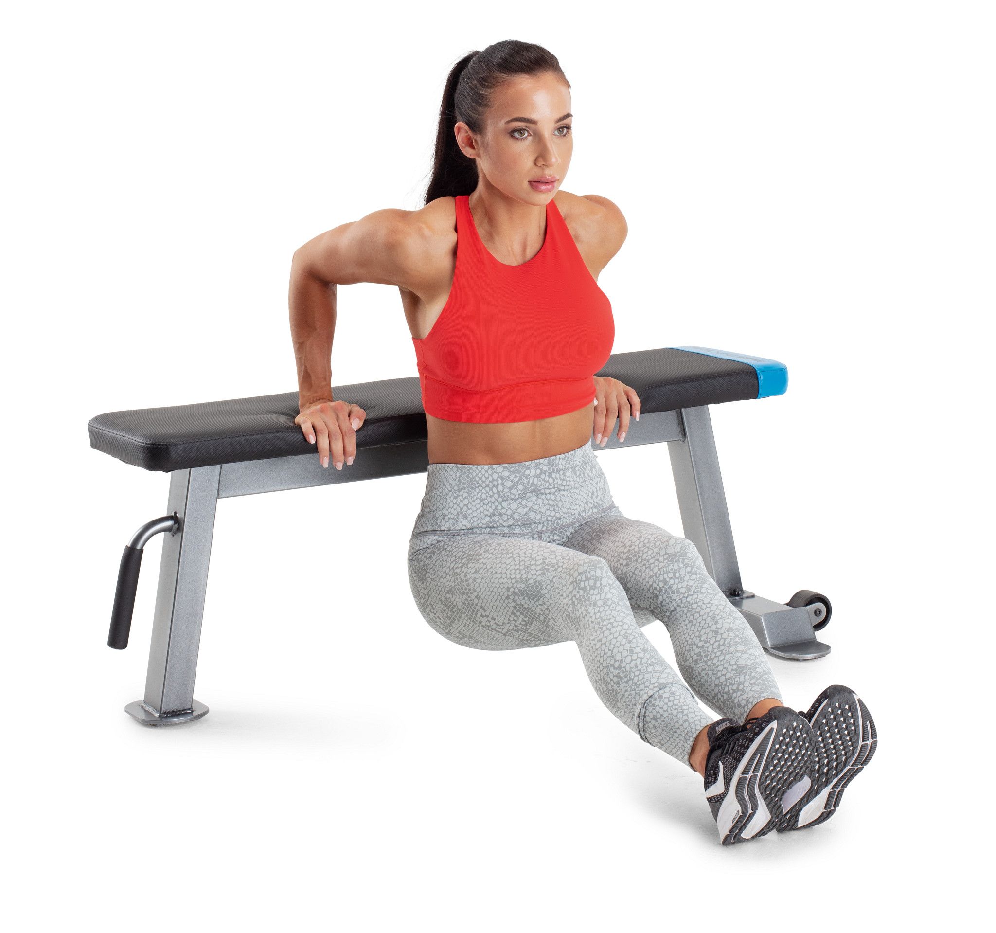 Proform discount carbon bench