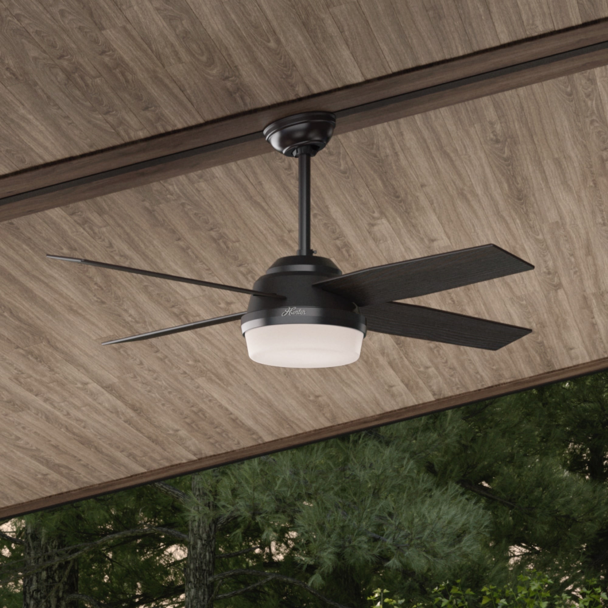 Hunter 59251 Ceiling-Fans - View #5