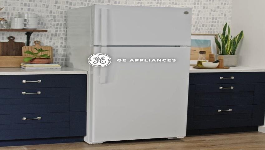 Amazon.com: GE APPLIANCES GLE12HSPSS BOTTOM FREEZER