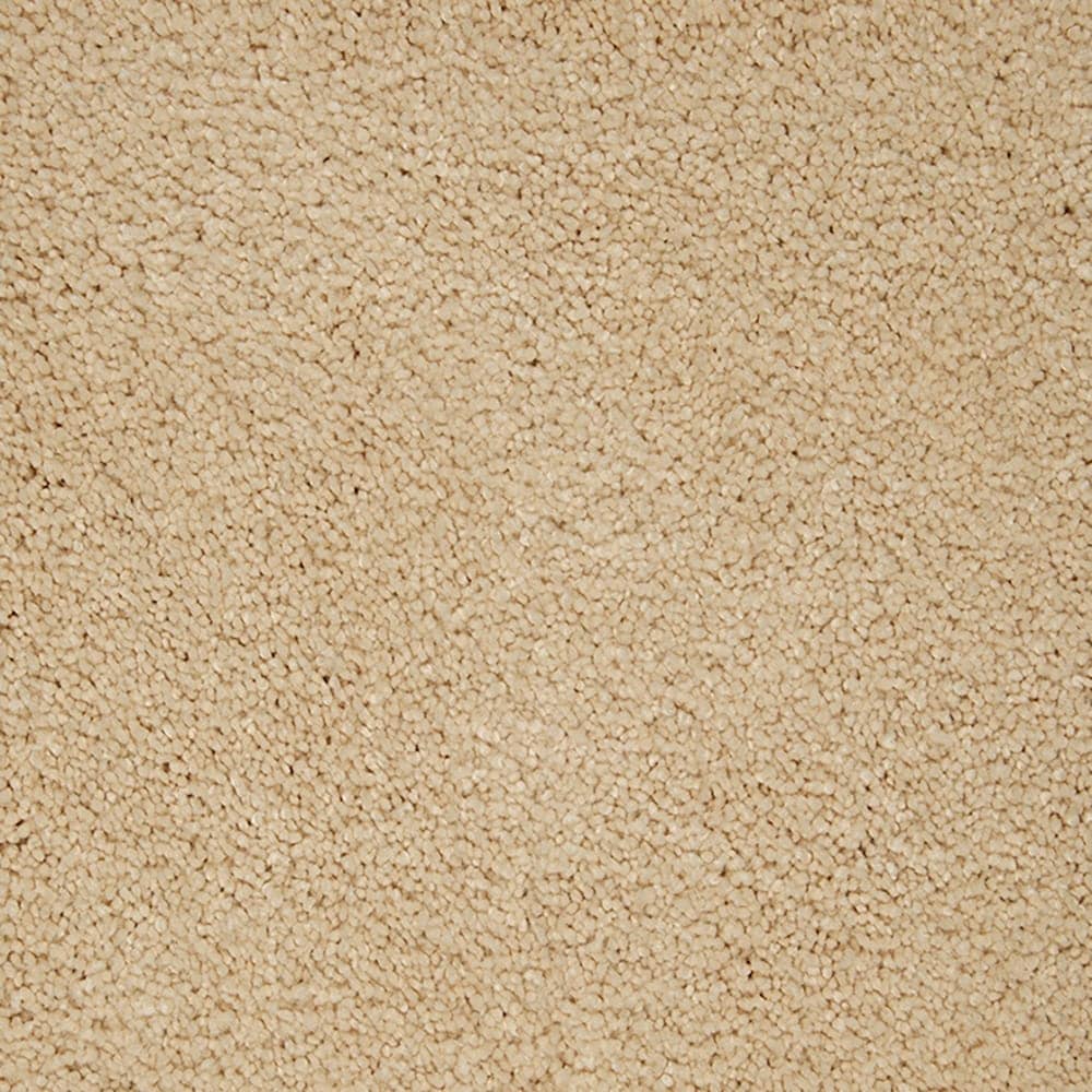 STAINMASTER PetProtect STP56-L012-0808 (Sample) Pawfection Soft Lights Brown 70-oz sq yard Triexta Textured Indoor Carpet
