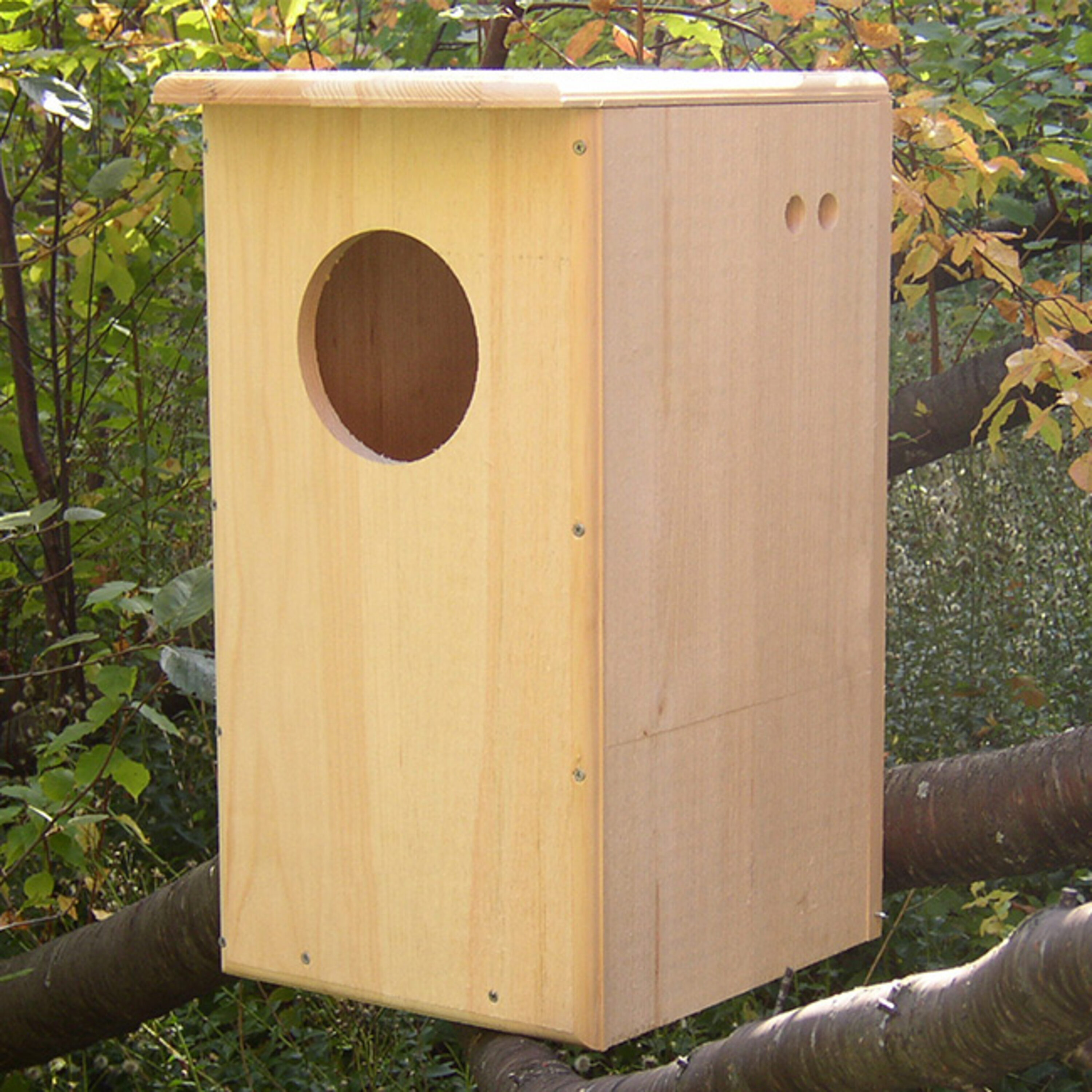 Coveside Conservation COV-10190 23-Inches H Natural Wood Chickadees Bird house accessories Predator Proof Bird House